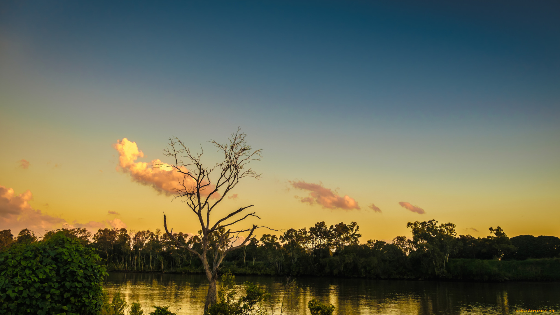 природа, реки, озера, небо, деревья