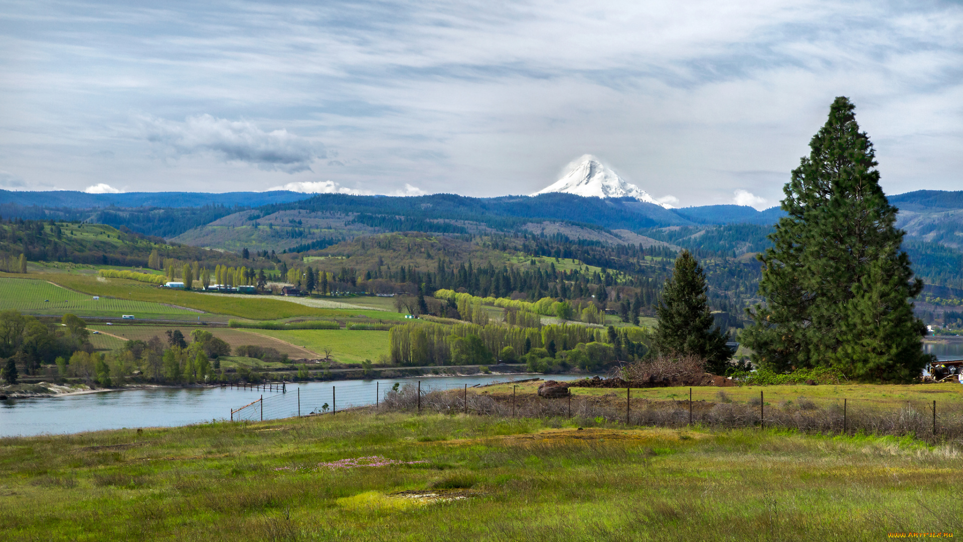 природа, реки, озера, поле, деревья, пейзаж, небо