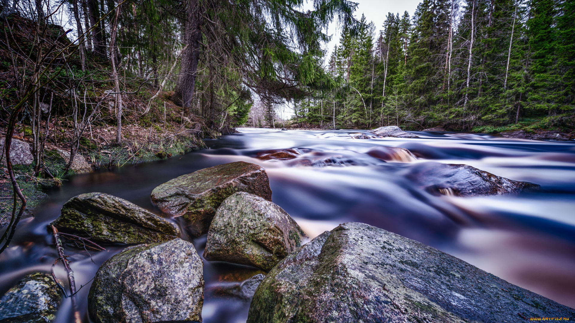 природа, реки, озера, поток, камни, лес, вода, река