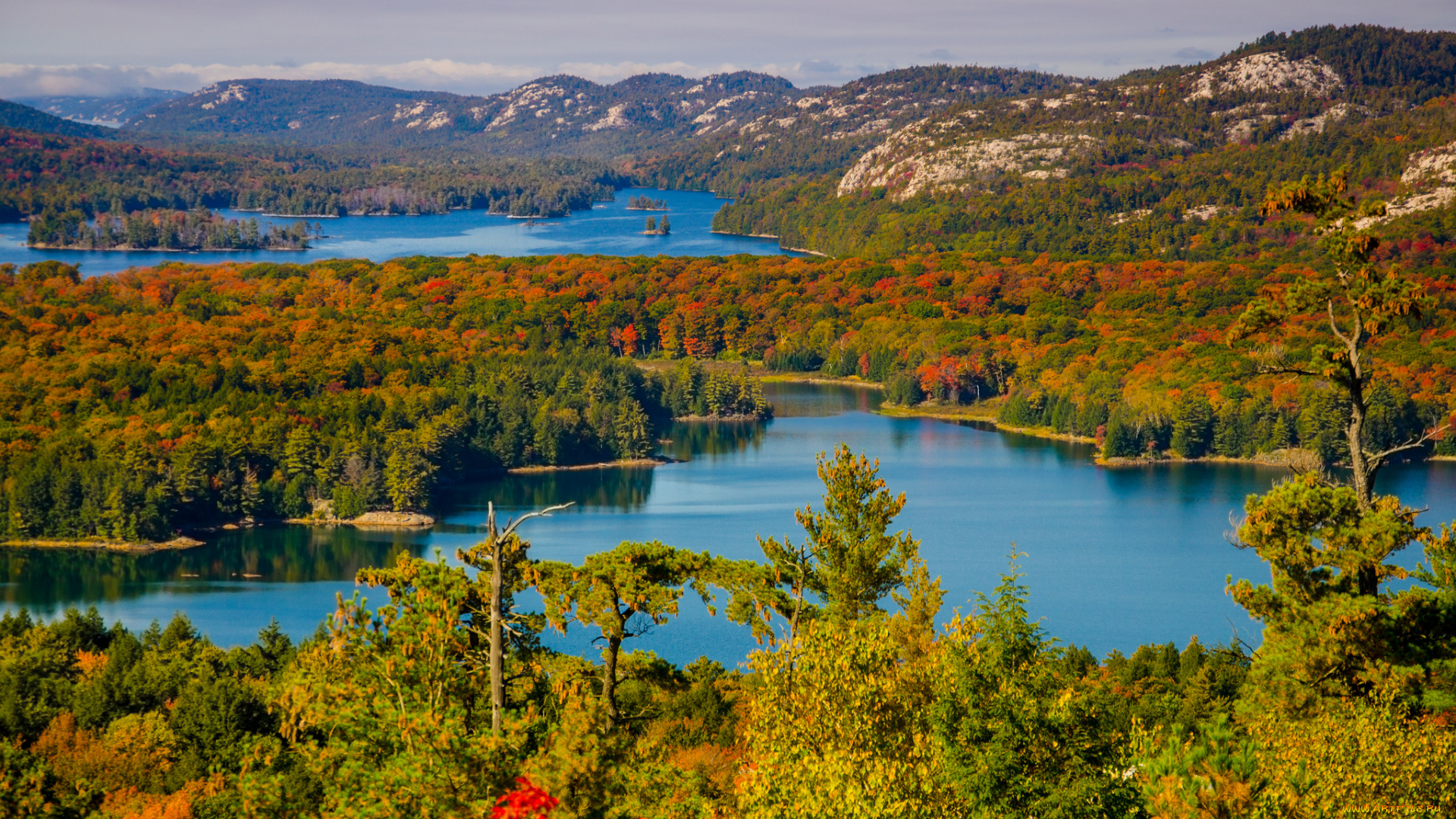 природа, реки, озера, река, лес, осень