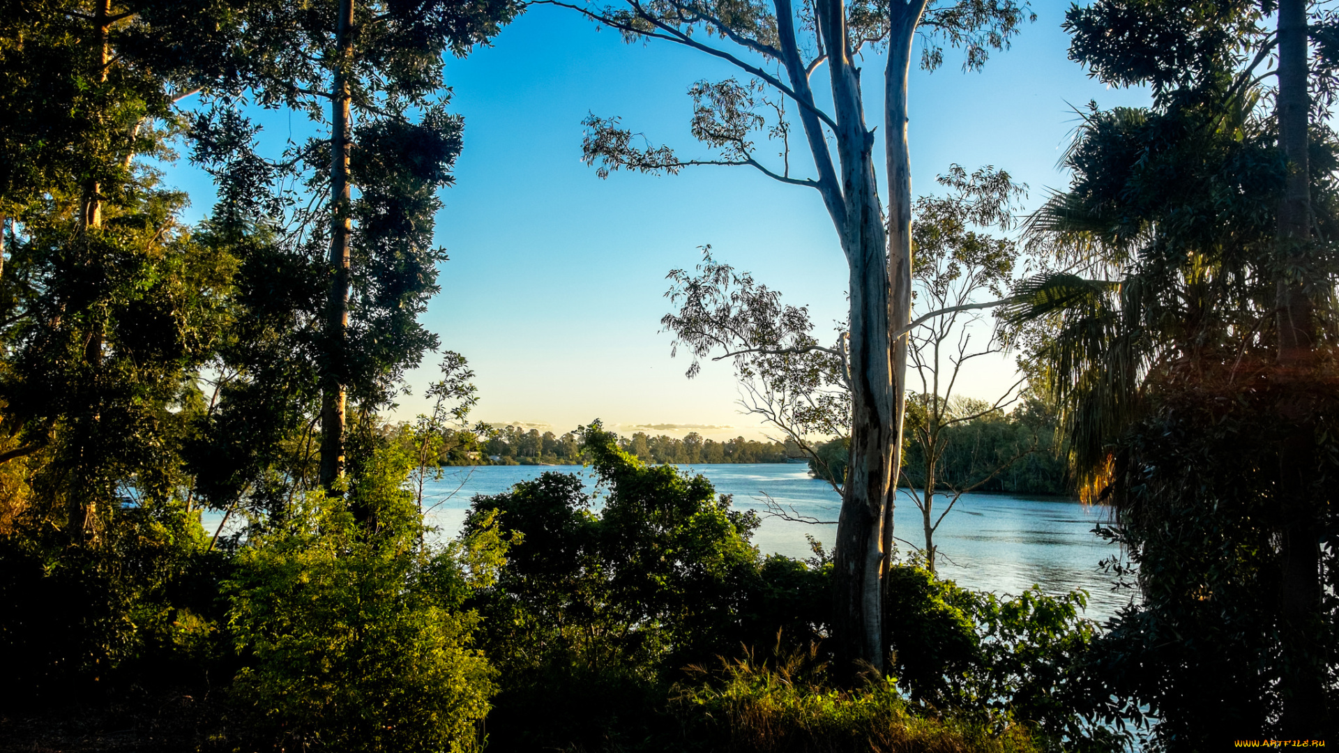 природа, реки, озера, река, небо, деревья, вечер