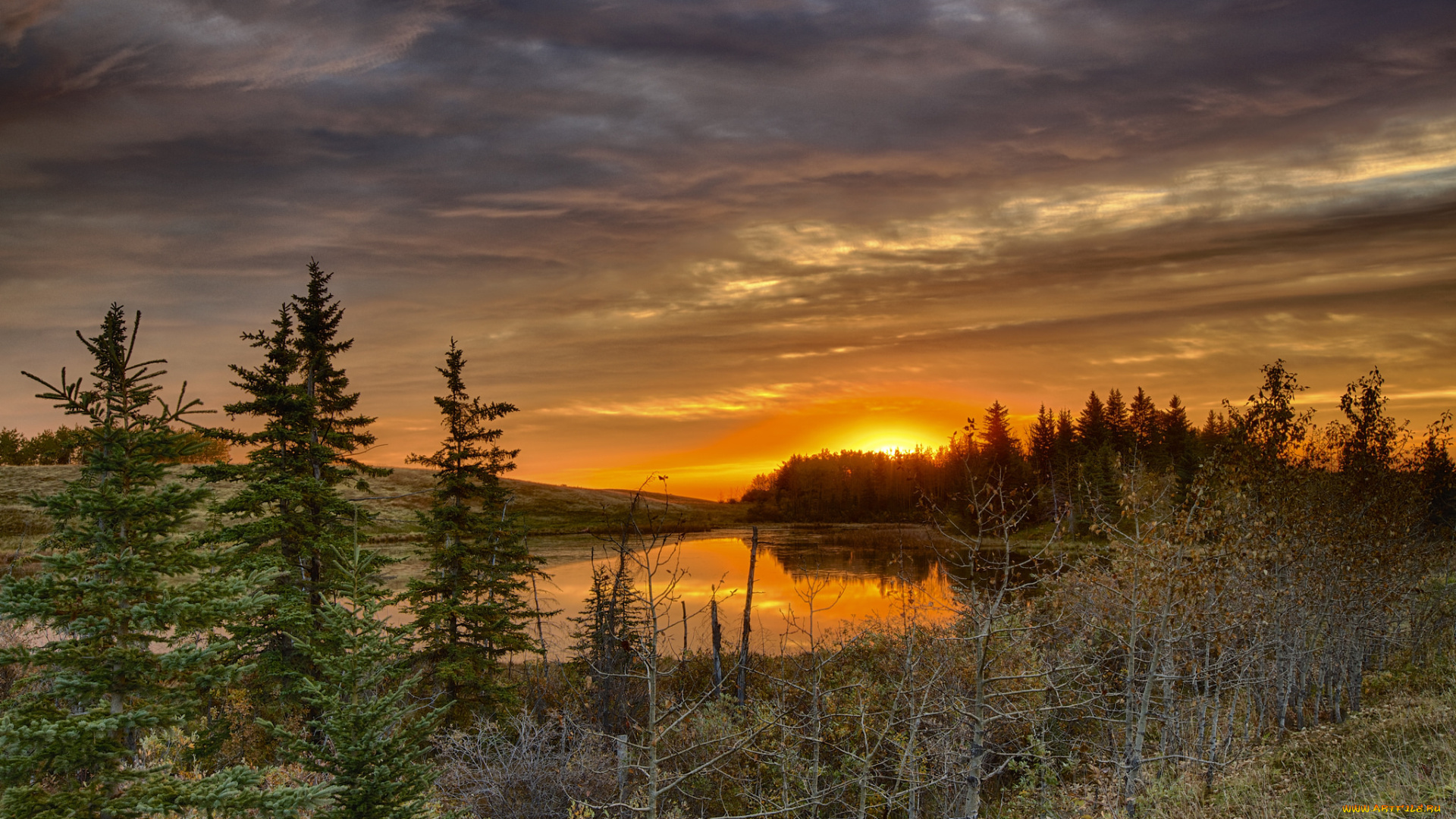 природа, восходы, закаты, лес, река, тучи, зарево