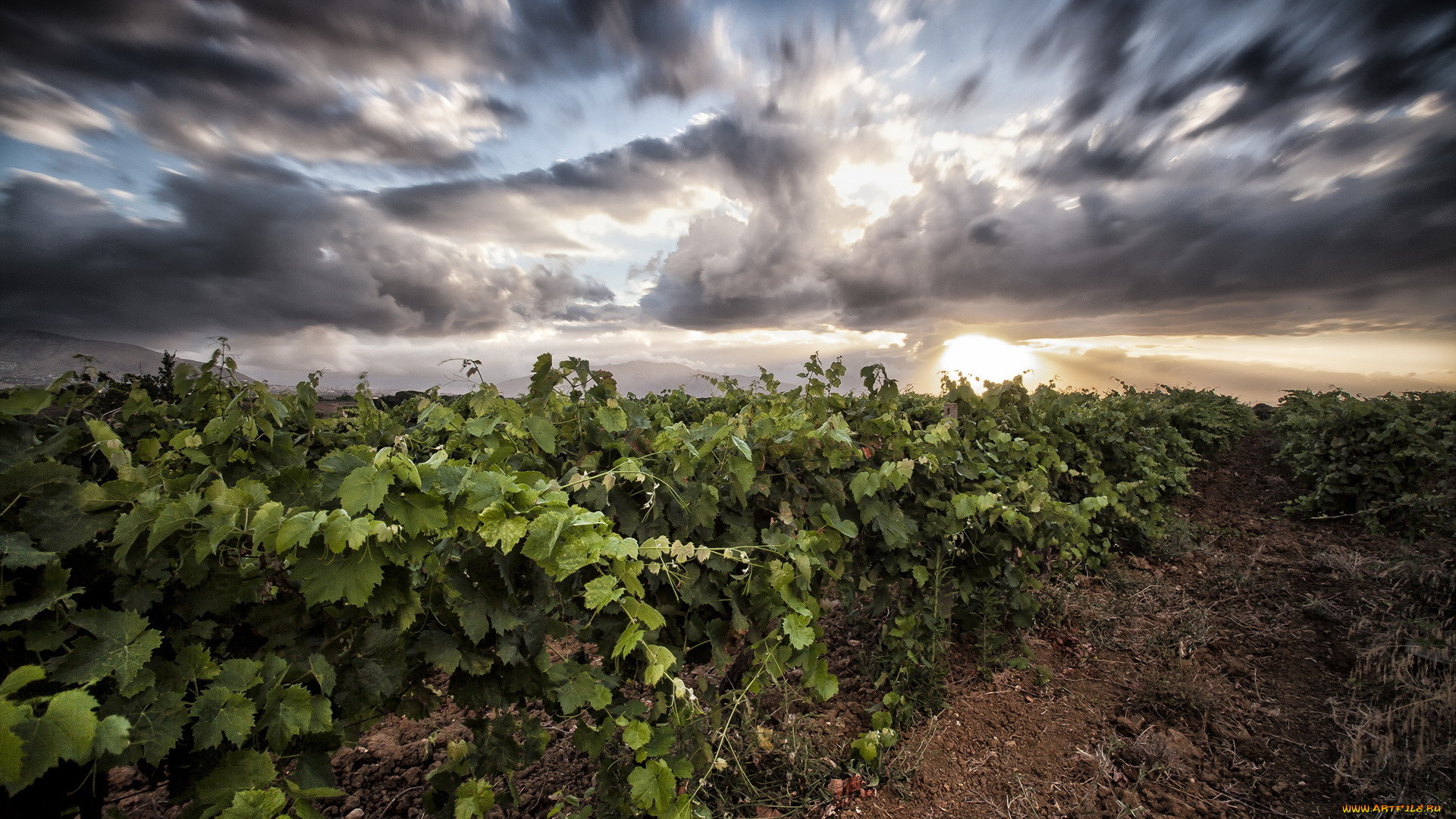 природа, восходы, закаты, небо, пейзаж, поле