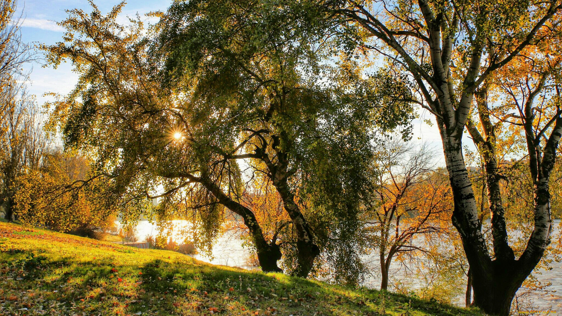 природа, восходы, закаты, река, кроны, свет