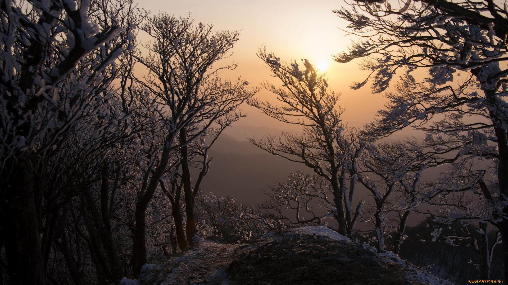 природа, восходы, закаты, зима, пейзаж, деревья, утро