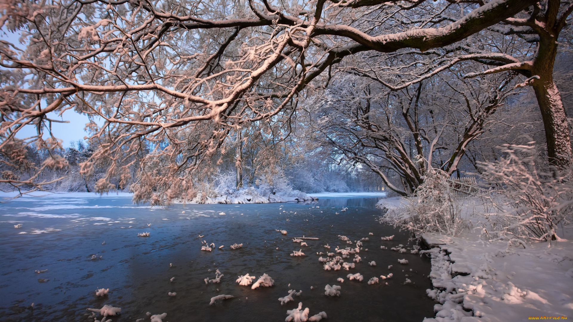 природа, зима, река, деревья, снег