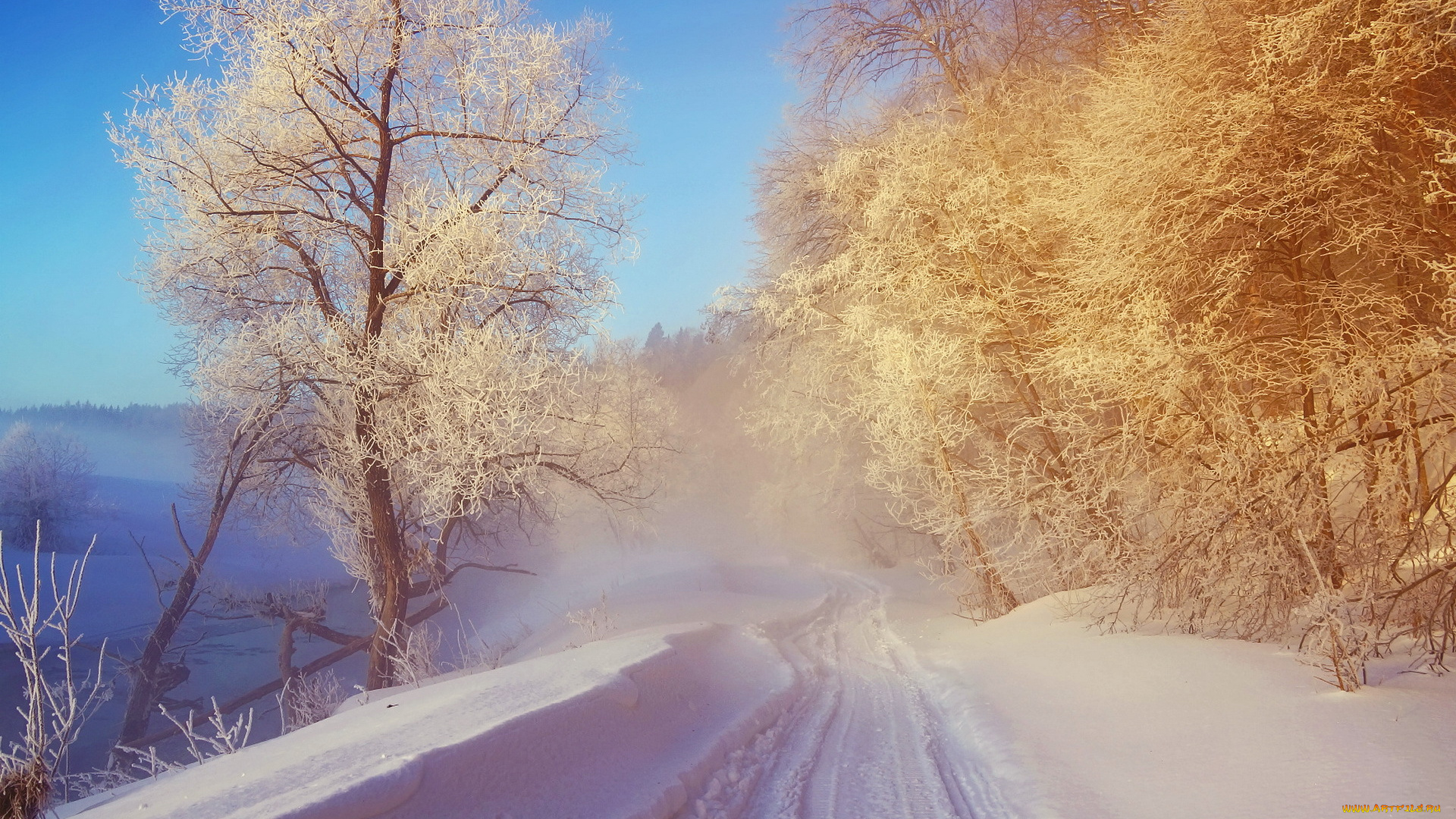 природа, зима, снег, пейзаж, иней