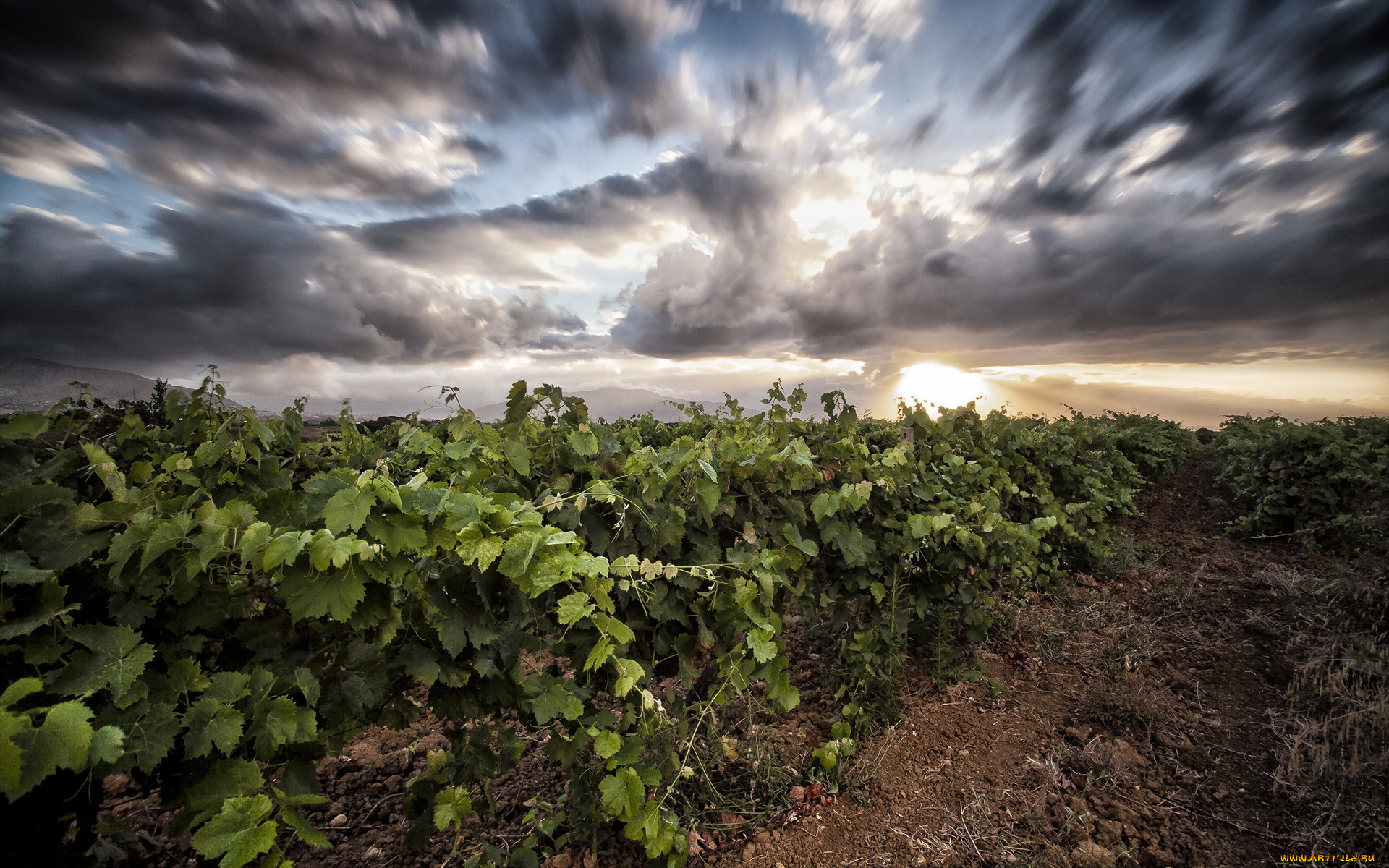 природа, восходы, закаты, небо, пейзаж, поле