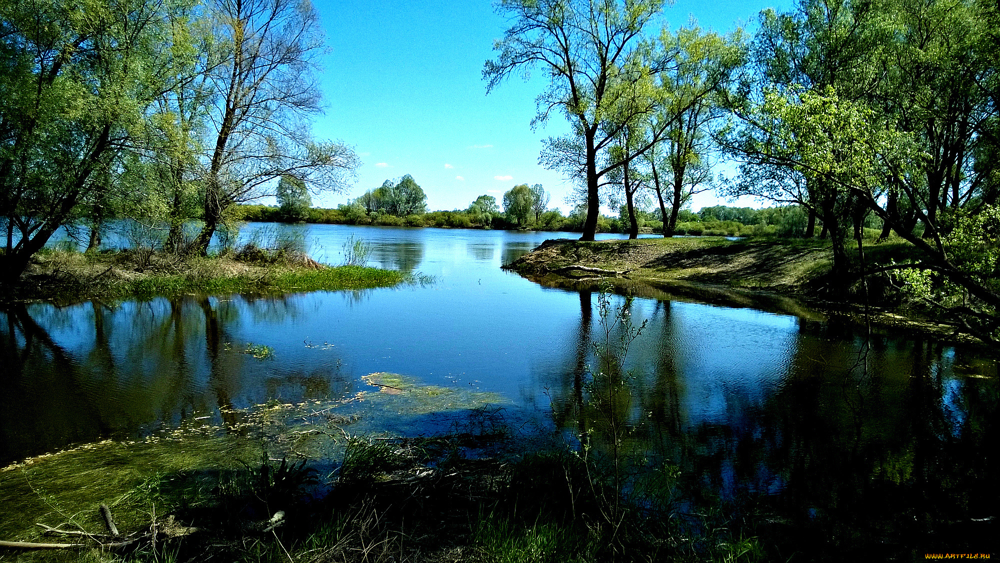 озерцо, природа, реки, озера, небо, деревья, вода