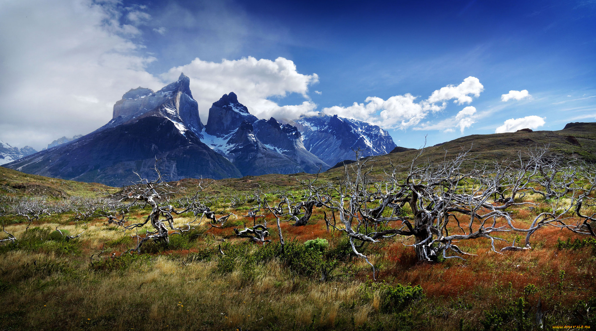 природа, горы, вершины, долина, деревья