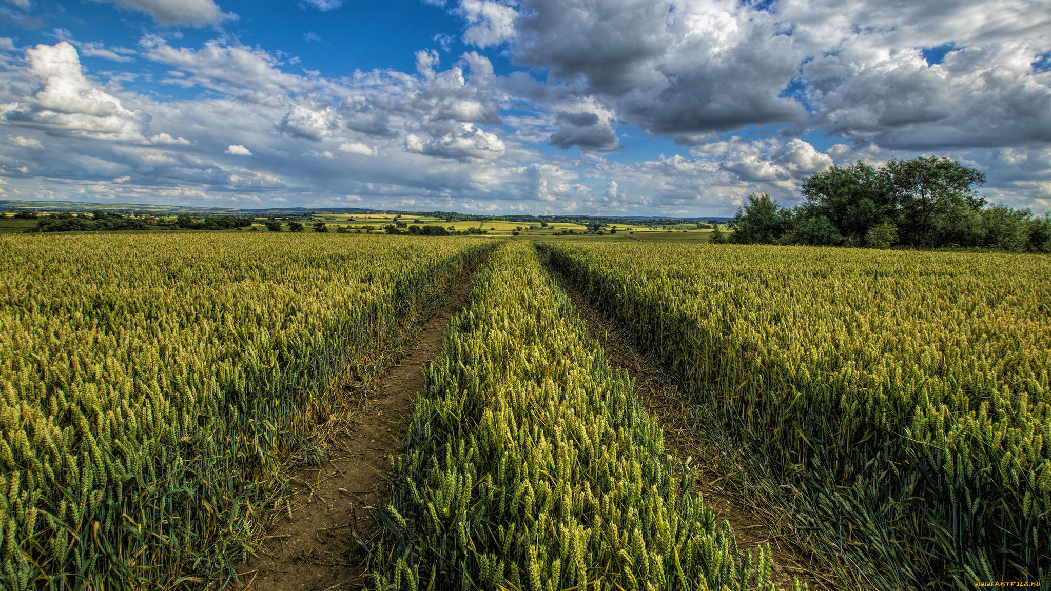 природа, дороги, колея, поле