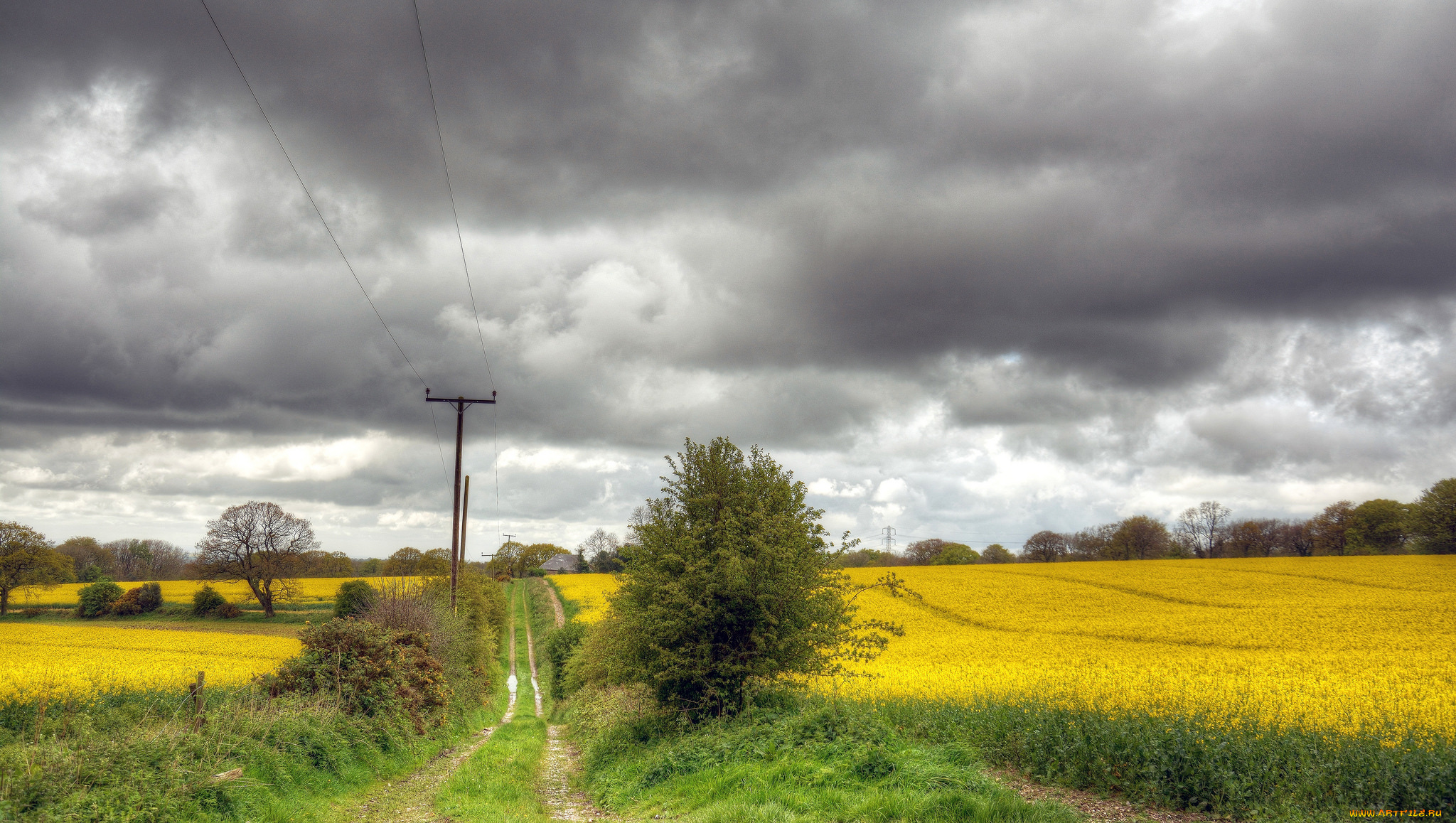 природа, дороги, тракт, поле