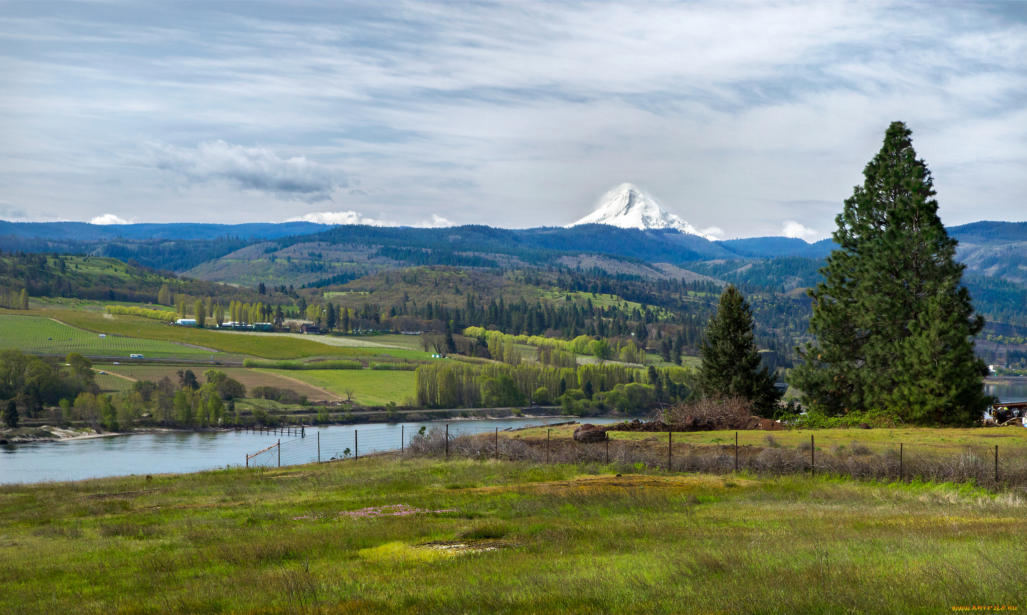 природа, реки, озера, поле, деревья, пейзаж, небо