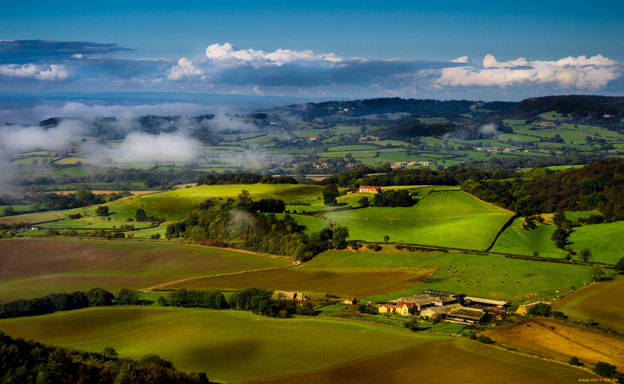 природа, поля, деревья, вид, сверху