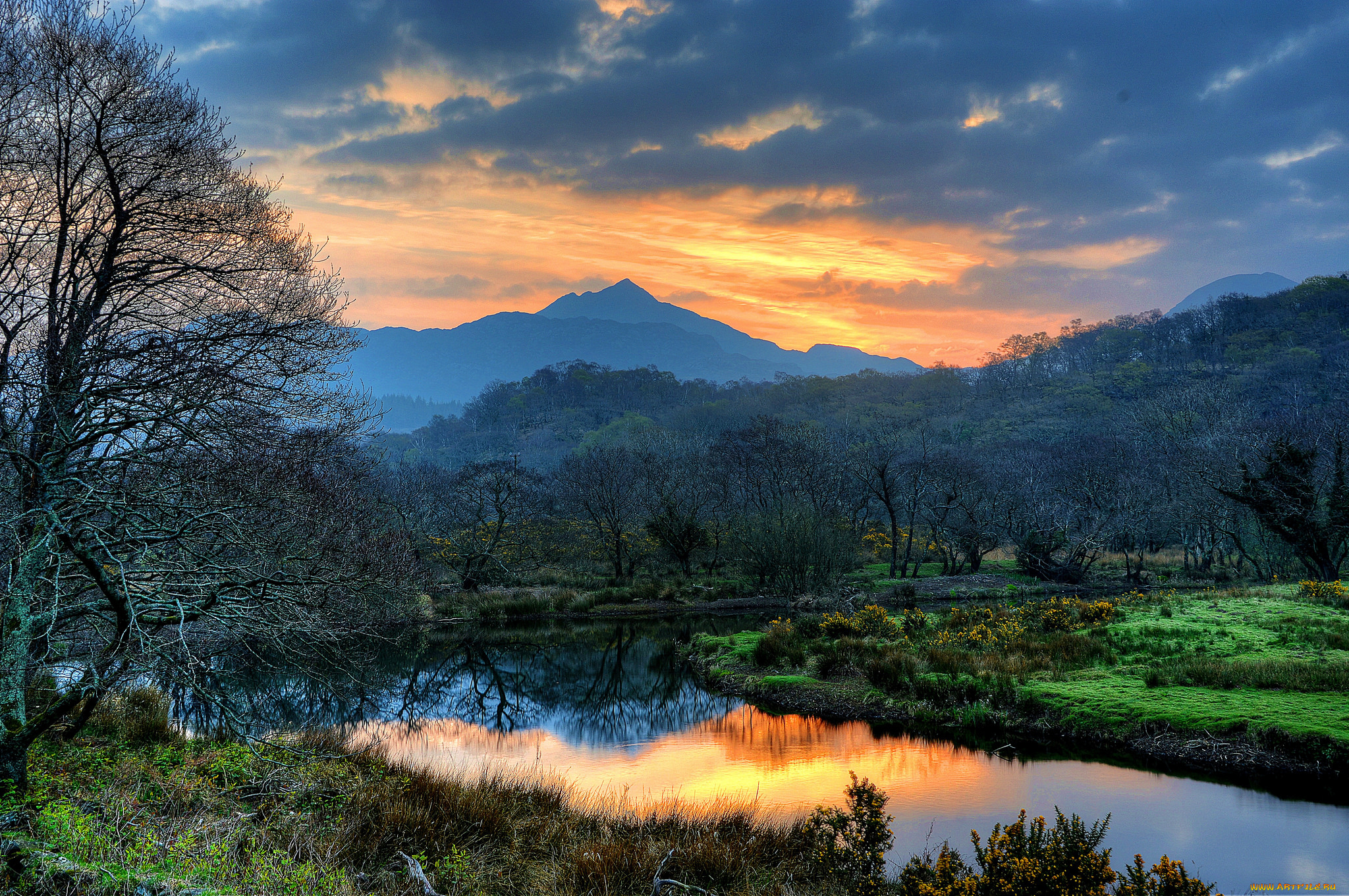 природа, реки, озера, горы, лес, река