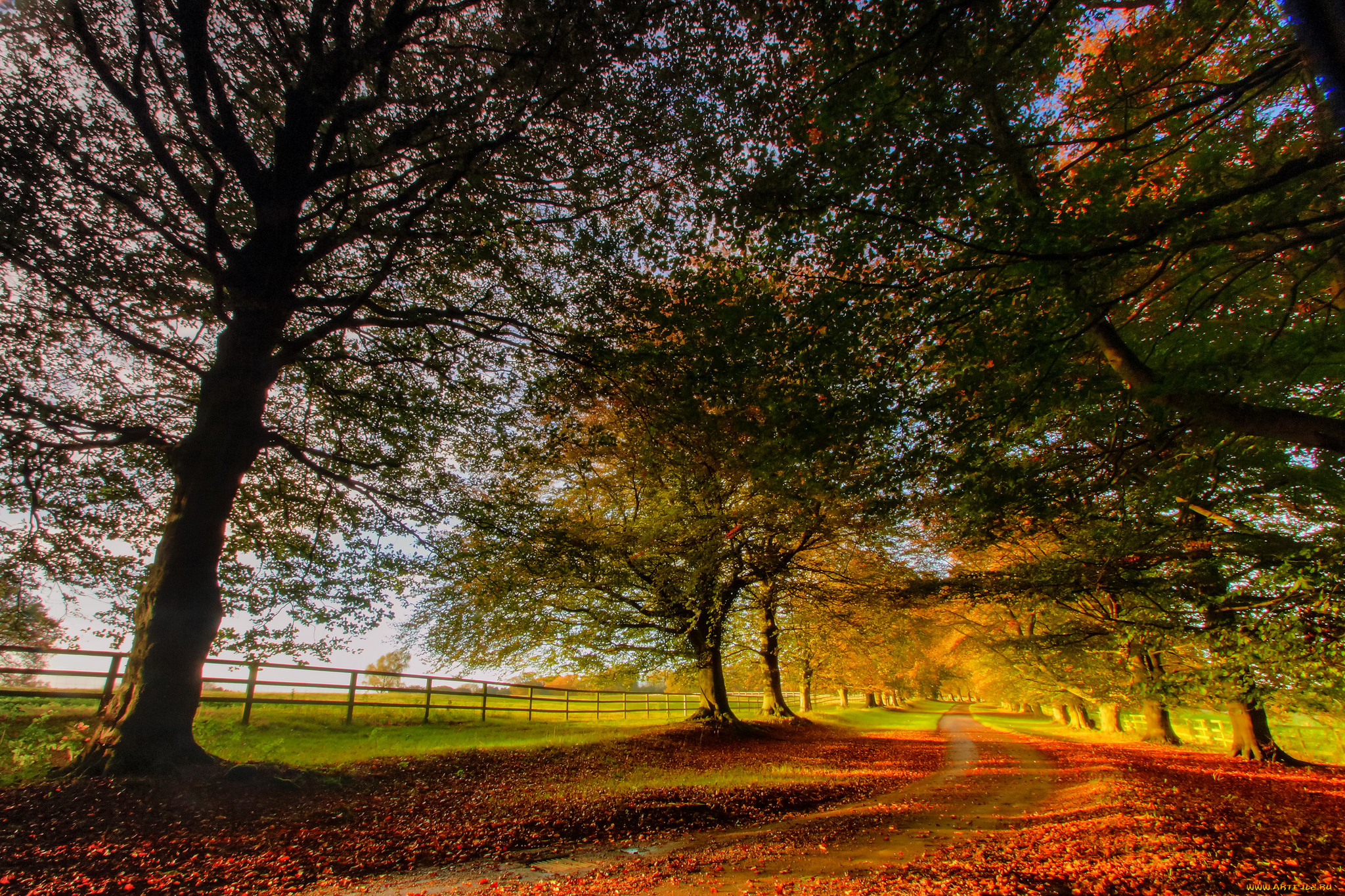 природа, дороги, тракт, осень