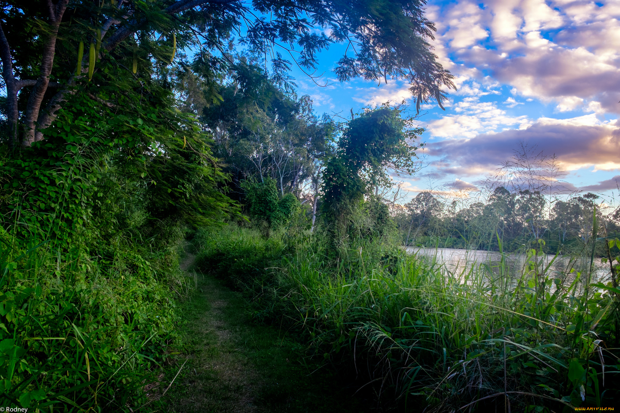 природа, дороги, тропинка, река, небо, деревья