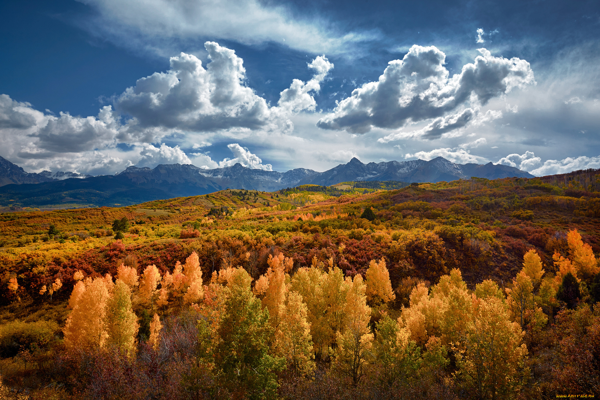 природа, лес, сша, штат, колорадо, горы, осень, золотой