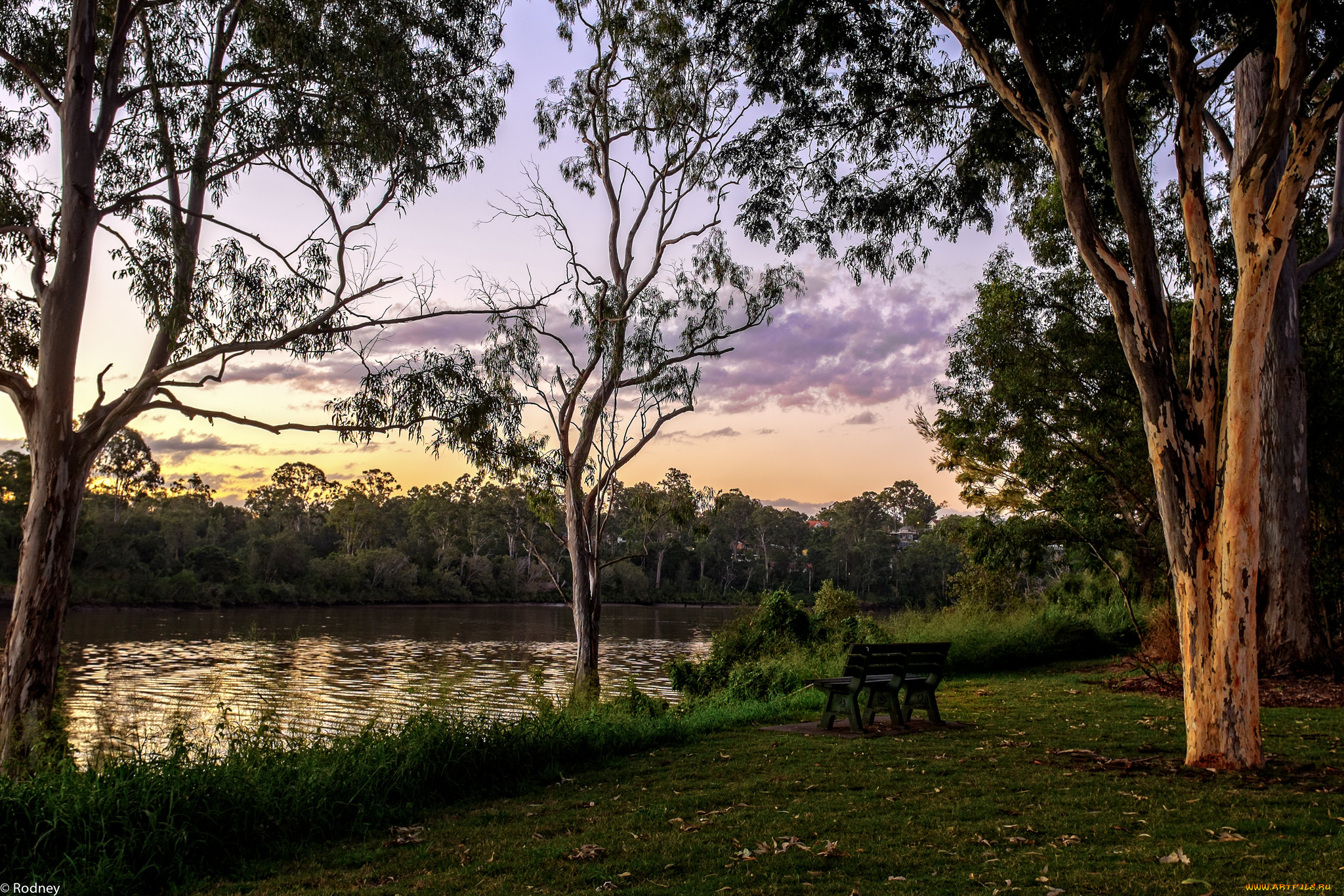 природа, парк, небо, деревья