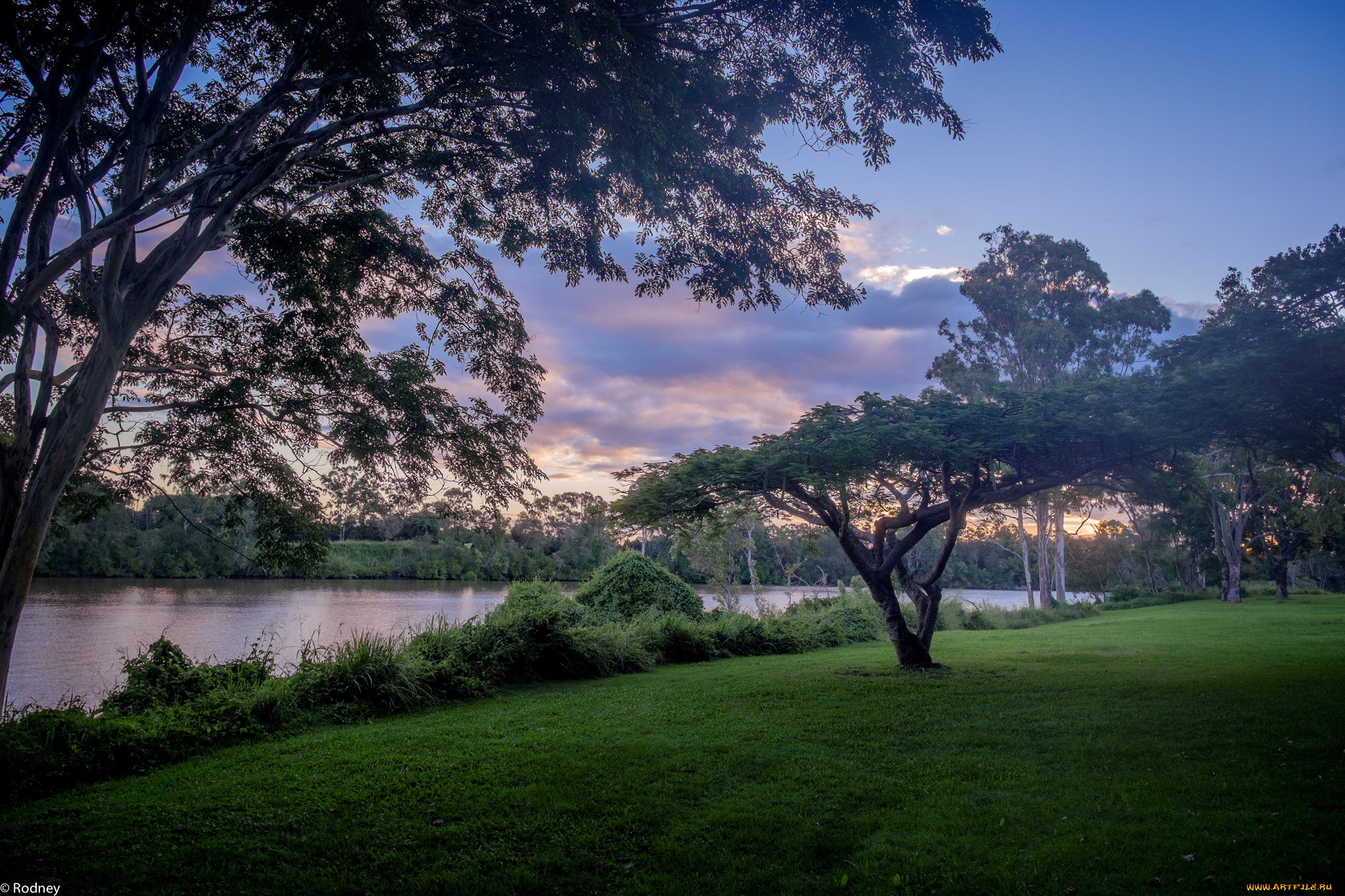природа, парк, вечер, небо, облака, деревья