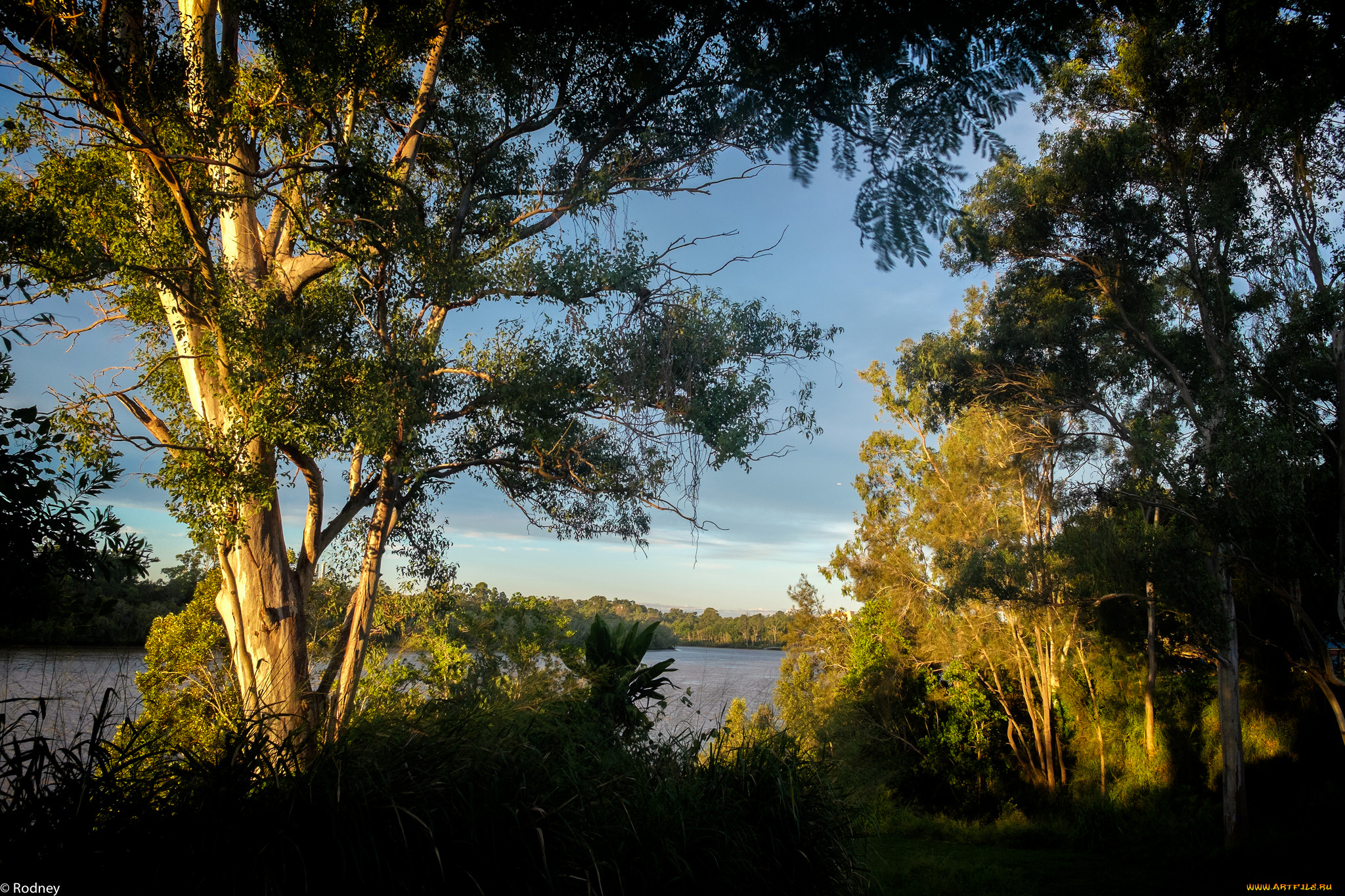 природа, реки, озера, небо, деревья