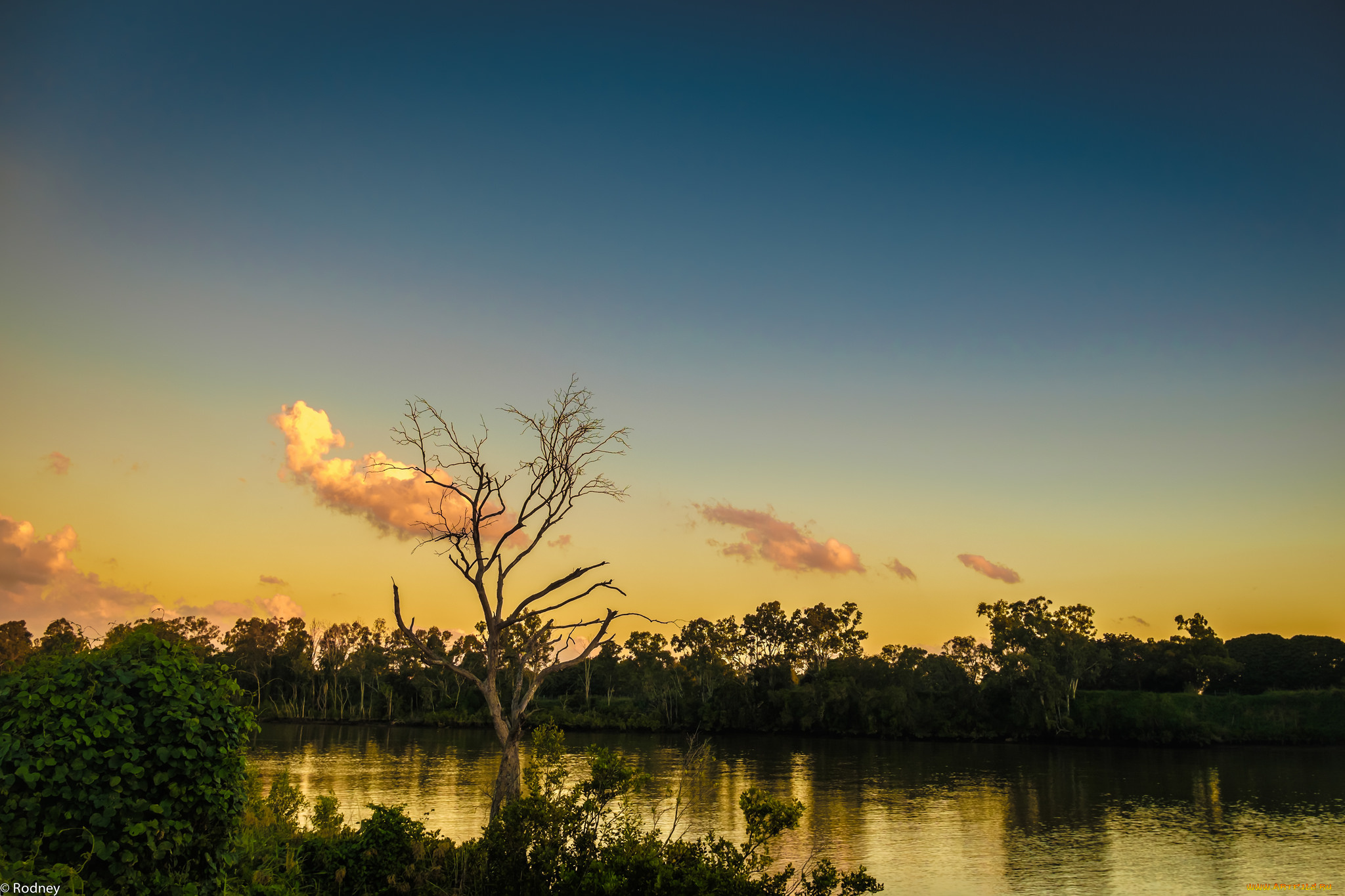 природа, реки, озера, небо, деревья