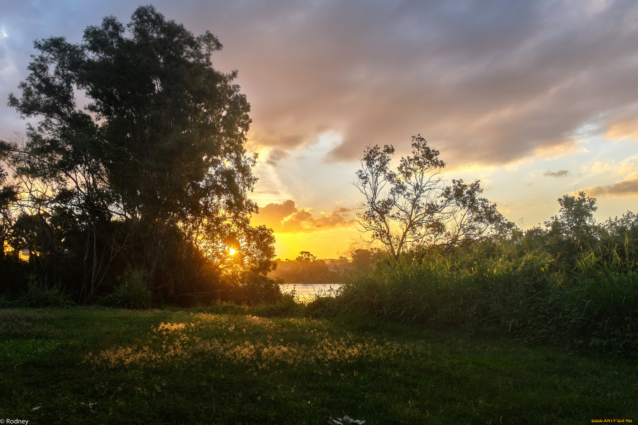 природа, восходы, закаты, закат, деревья