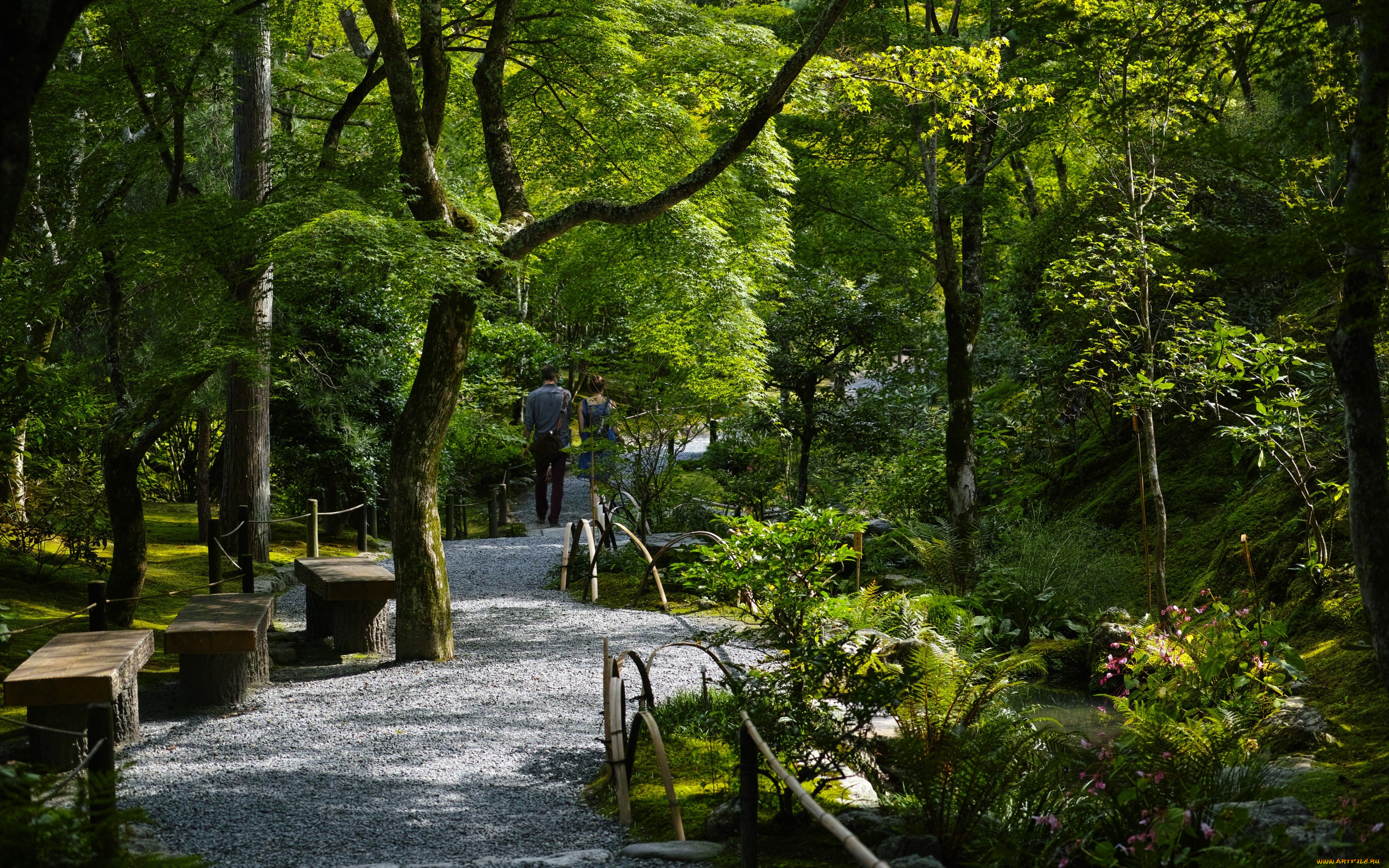 природа, парк, лавочки, прогулка, деревья, дорожка