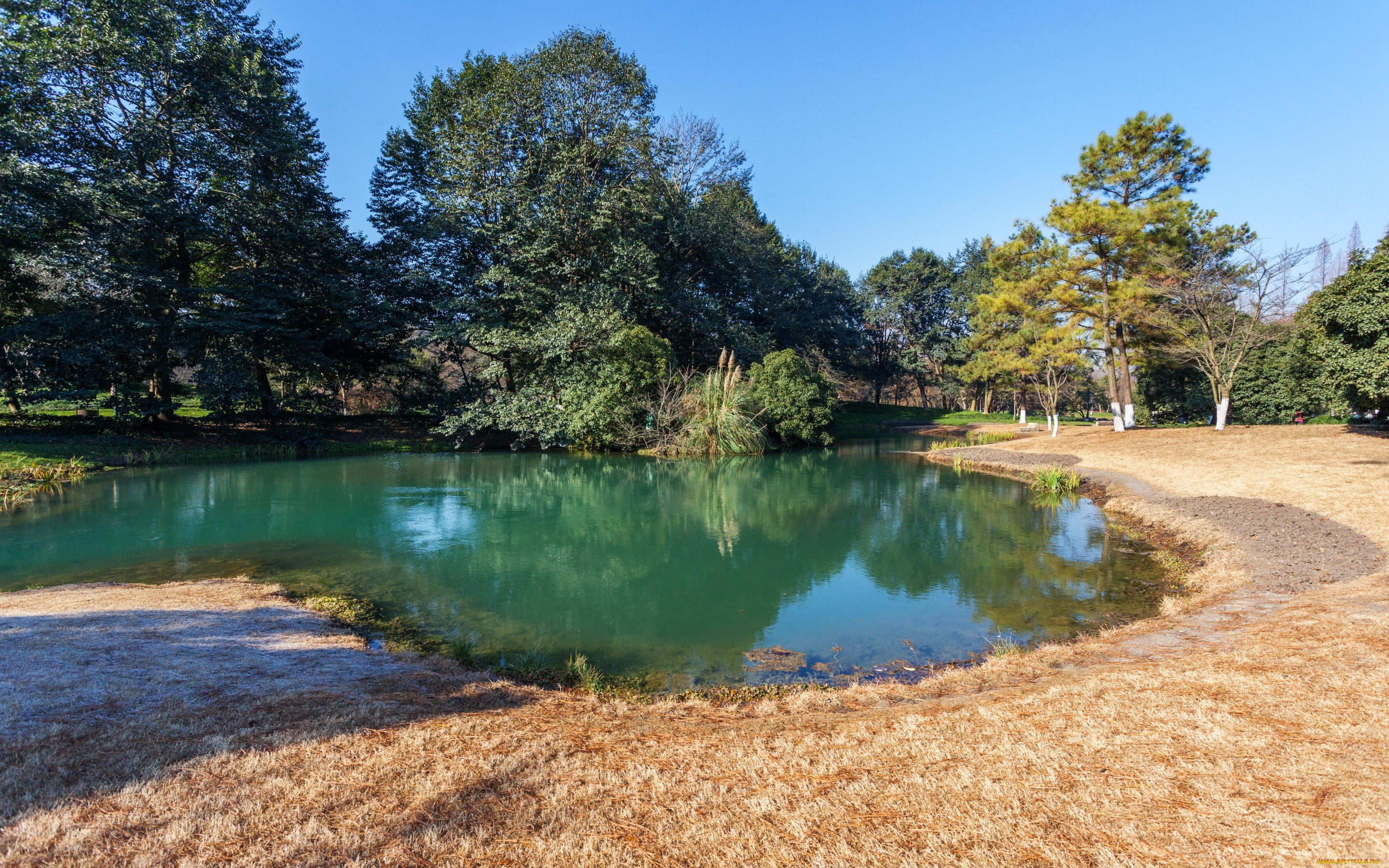 природа, реки, озера, hangzhou, китай, солнце, небо, деревья, пруд, парк, zhejiang