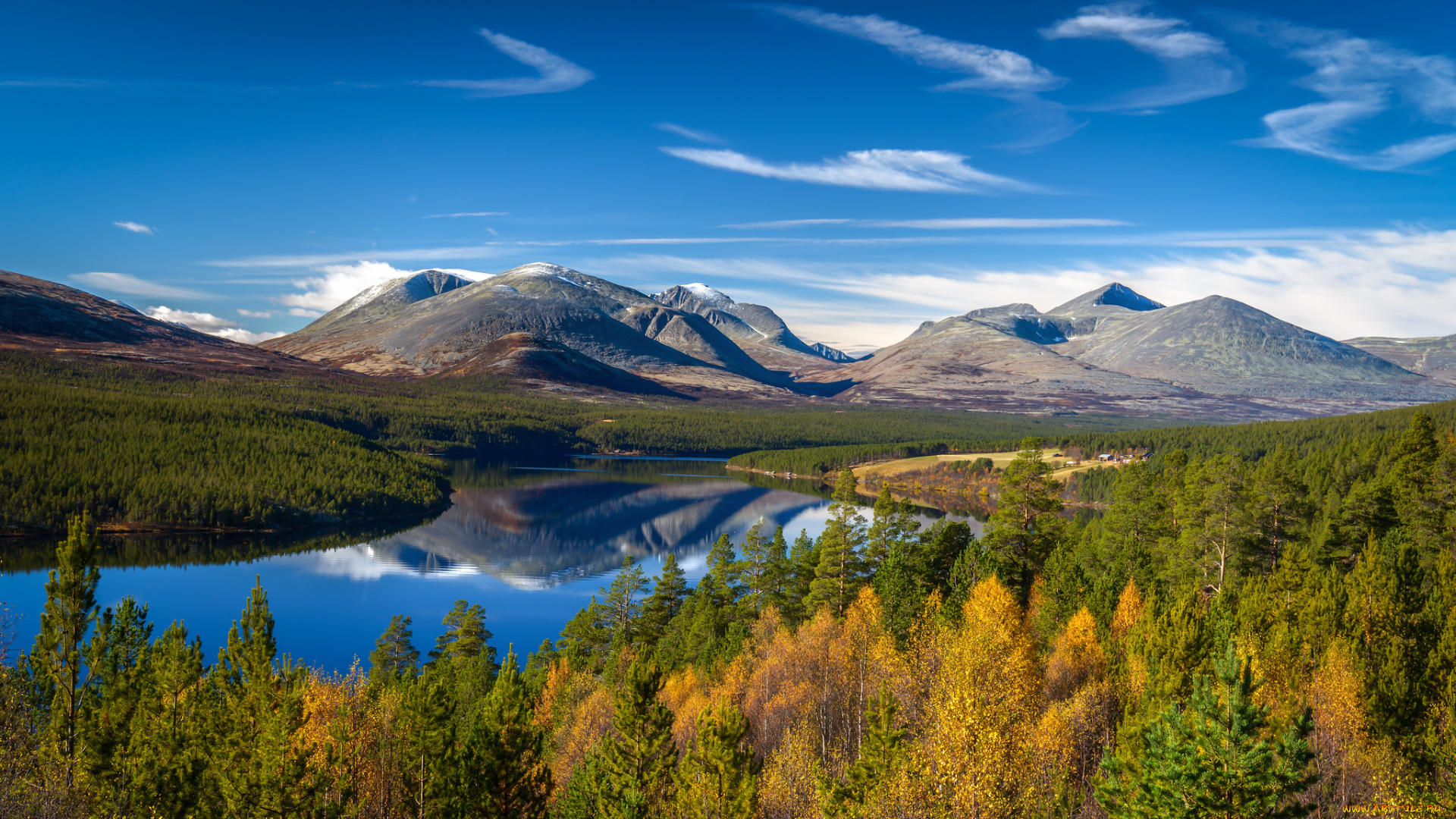 природа, реки, озера, лес, река