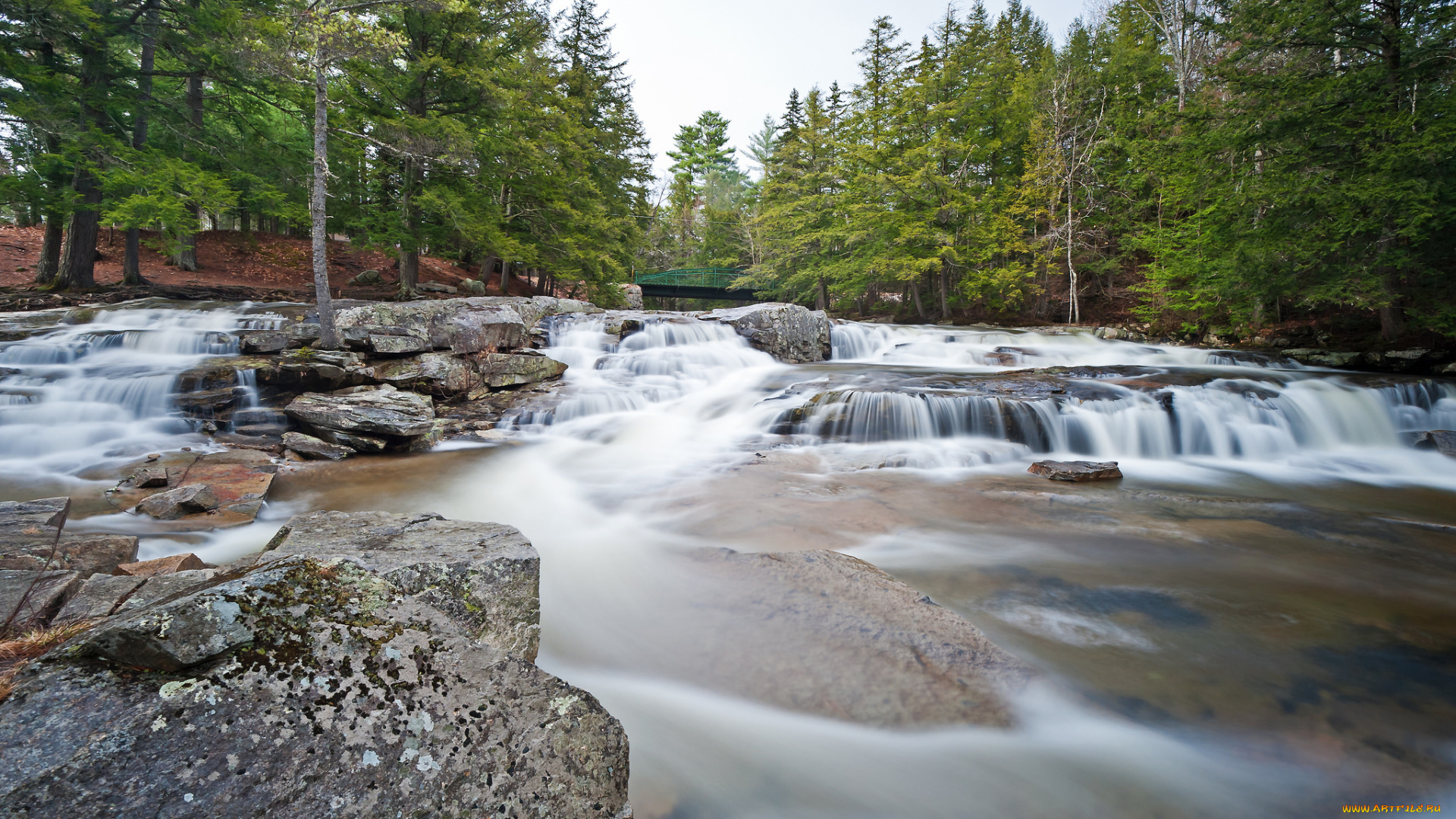 природа, реки, озера, река, лес