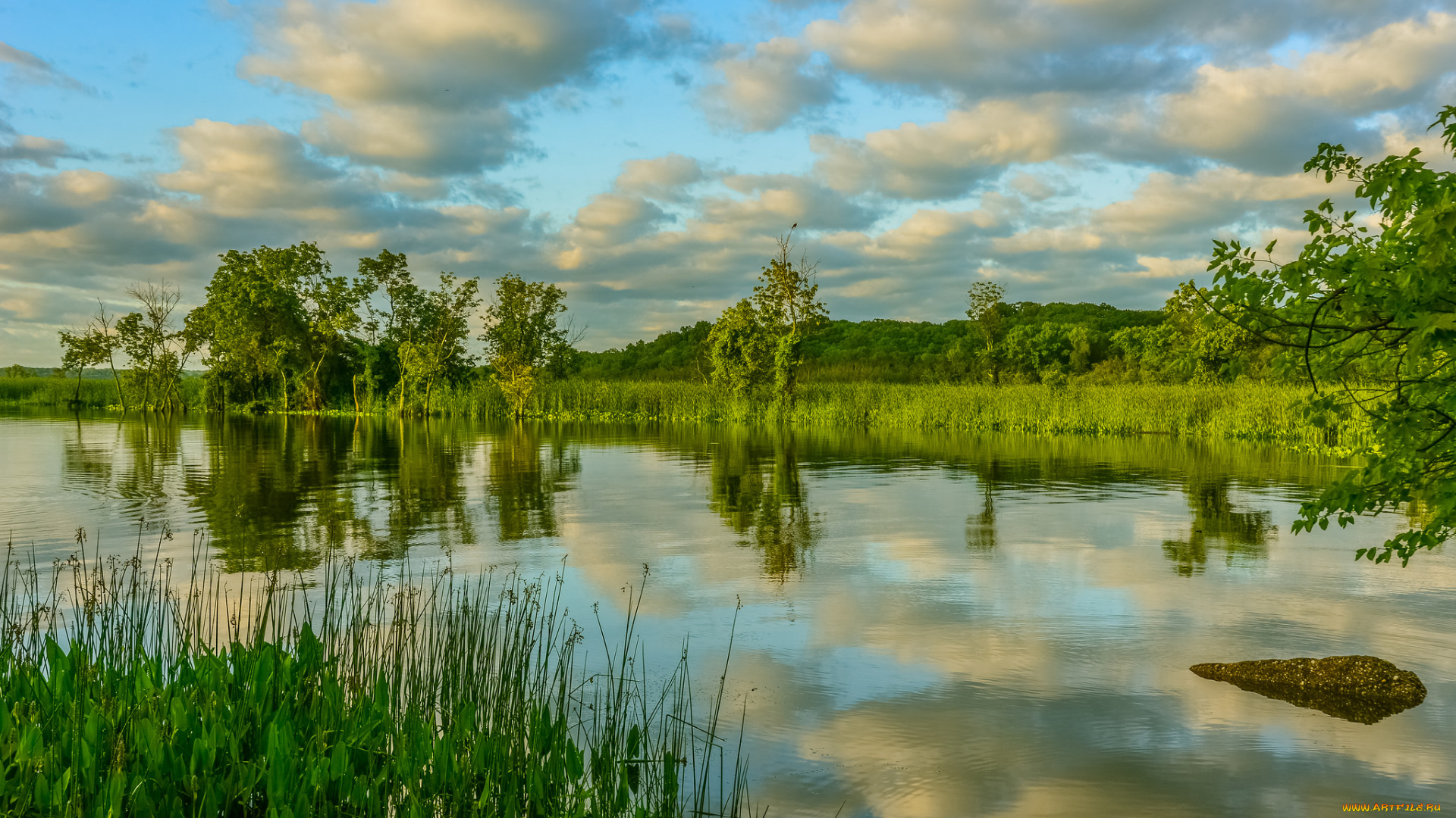 природа, реки, озера, река, лес