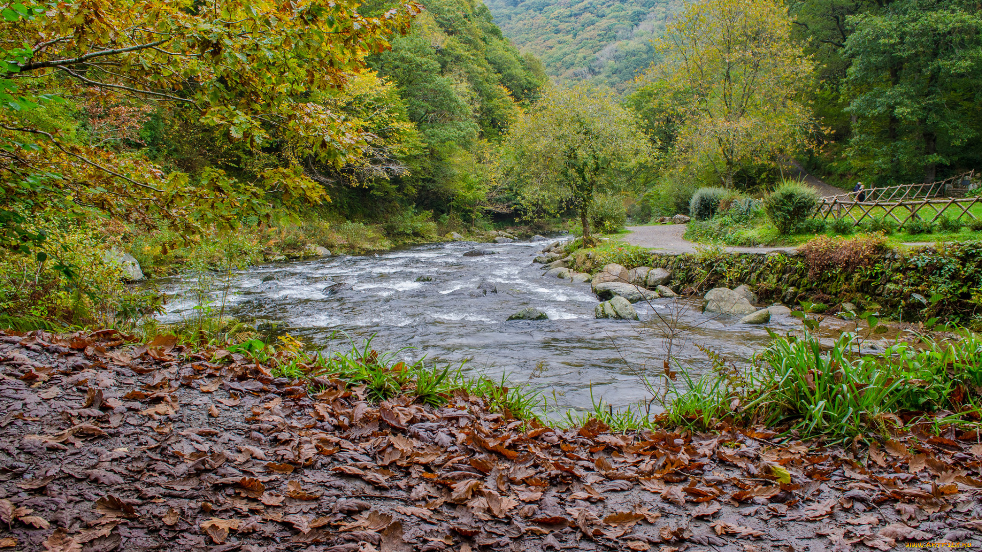 природа, реки, озера, река, лес