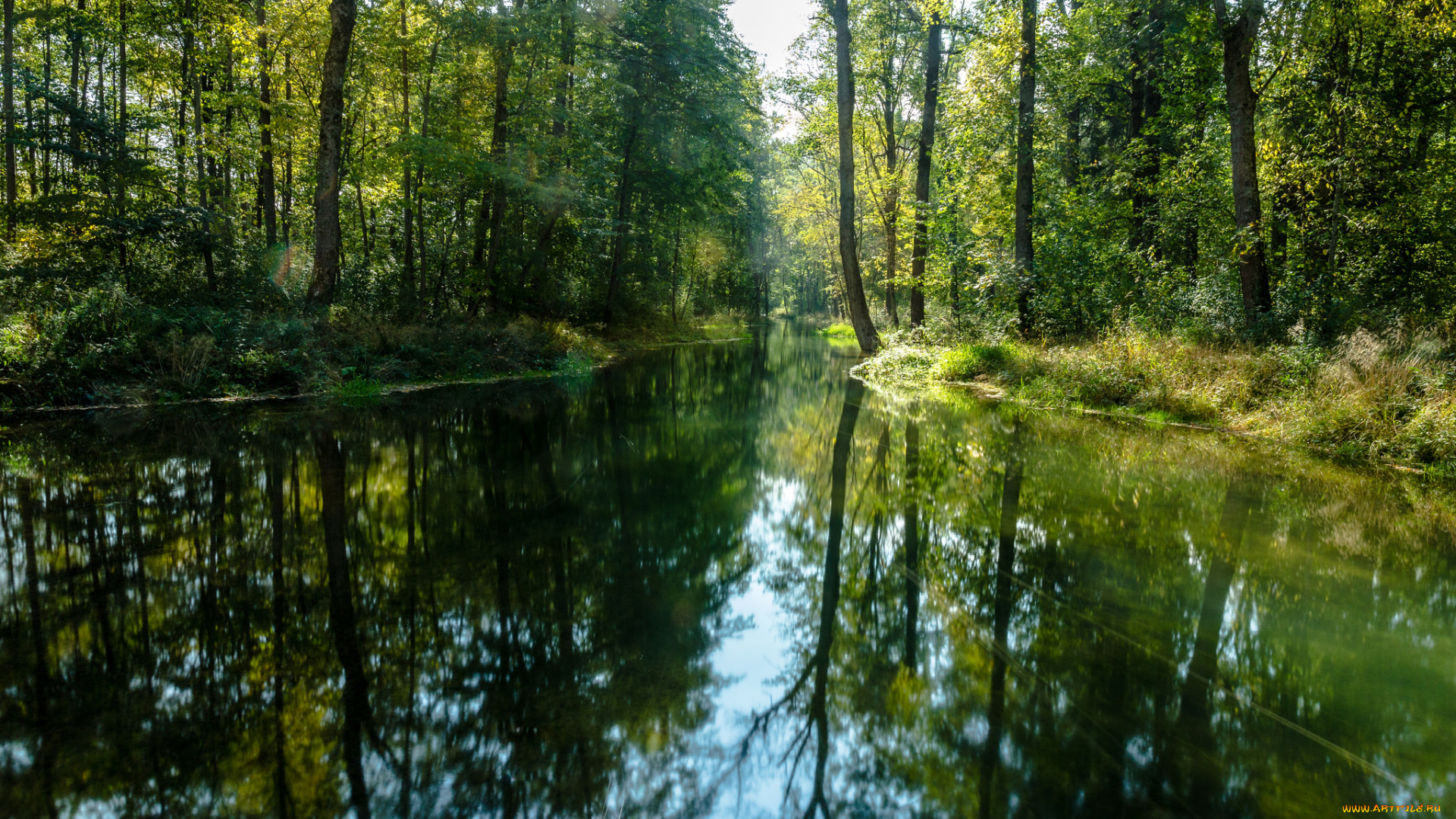 природа, реки, озера, река, лес