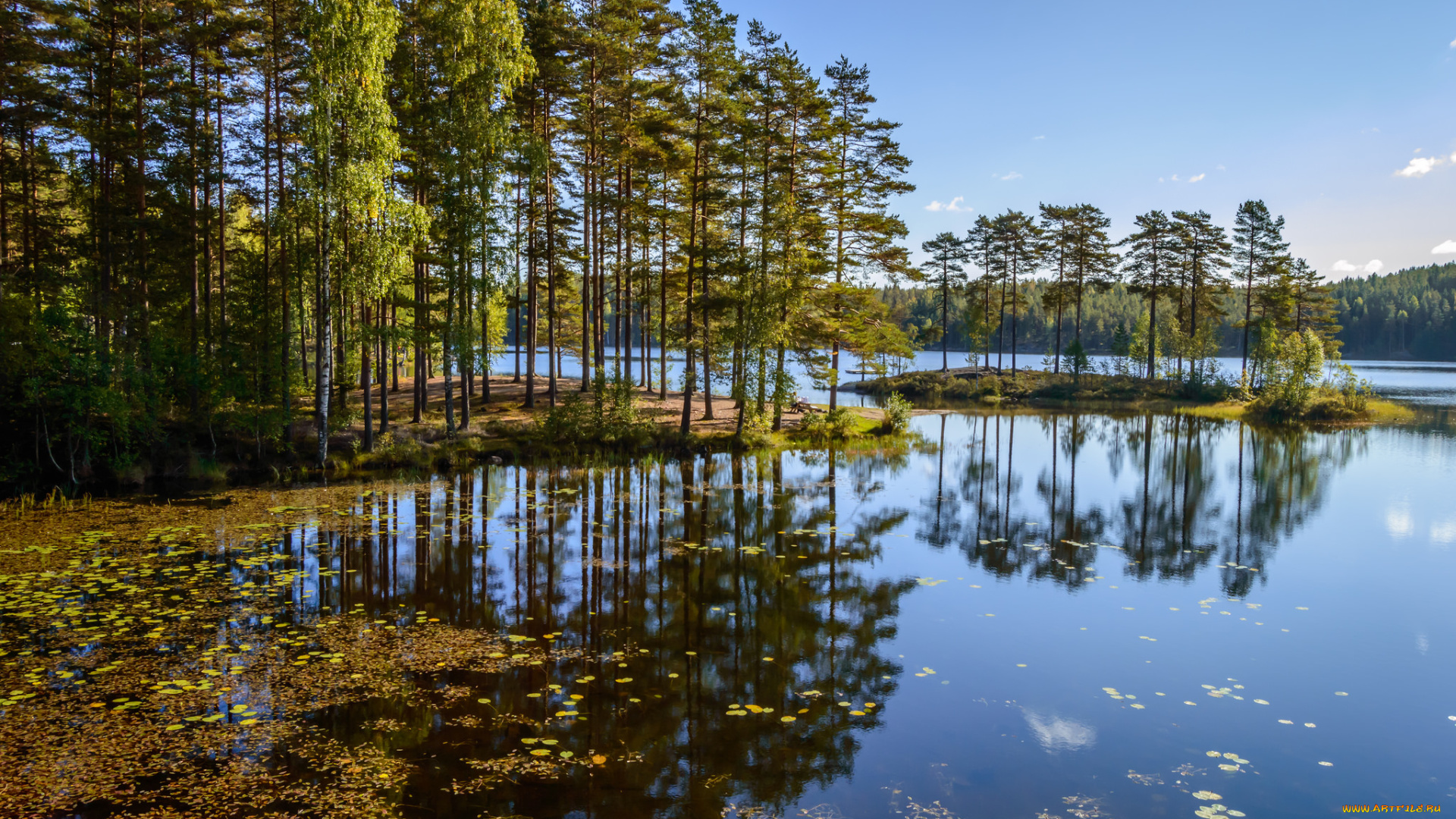 природа, реки, озера, река, лес