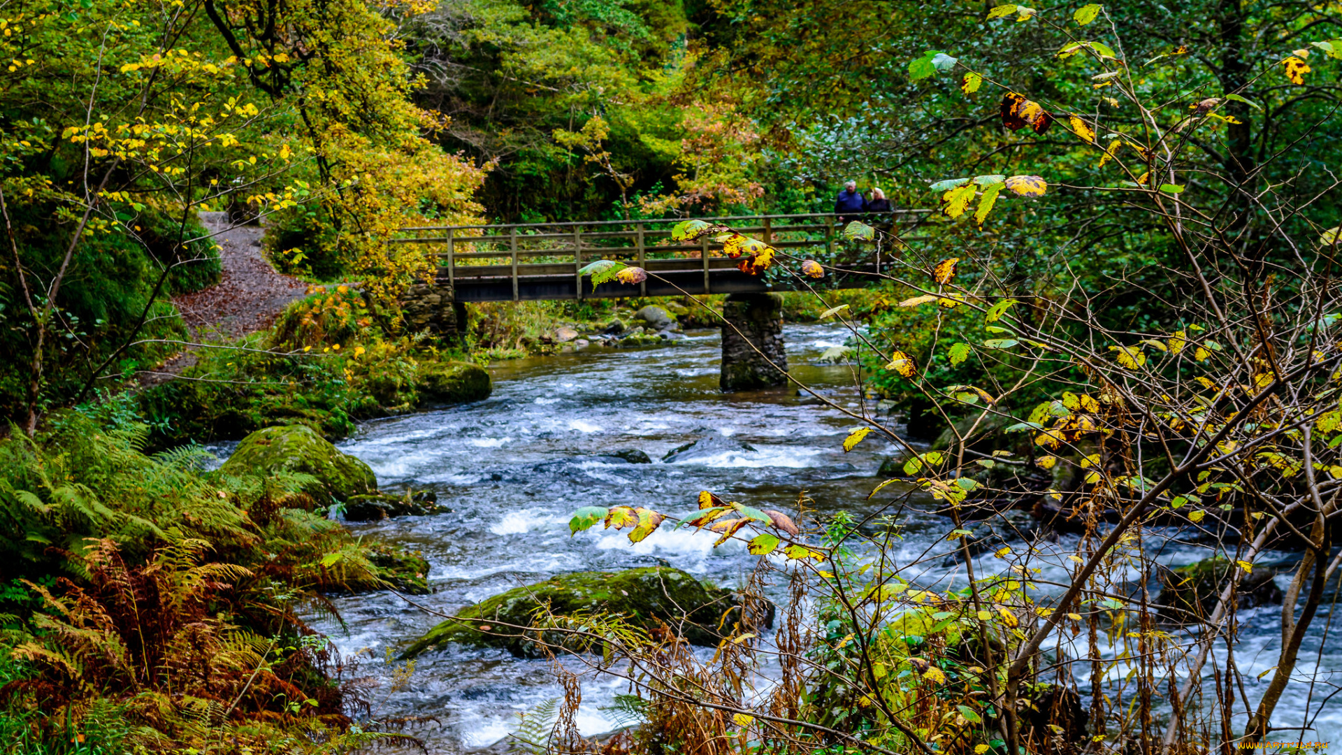 природа, реки, озера, река, рекалес, лес