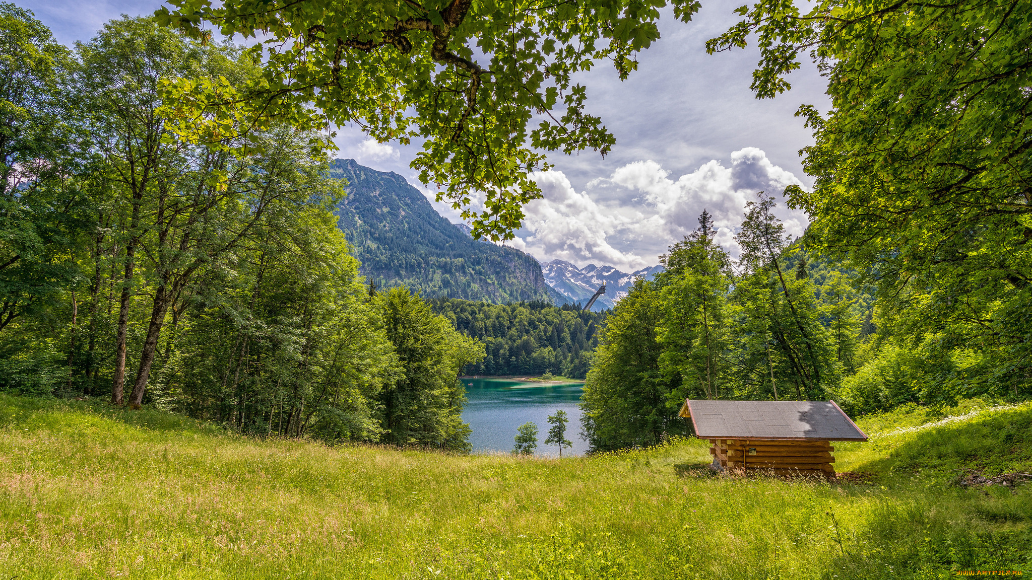 природа, реки, озера, река, лес