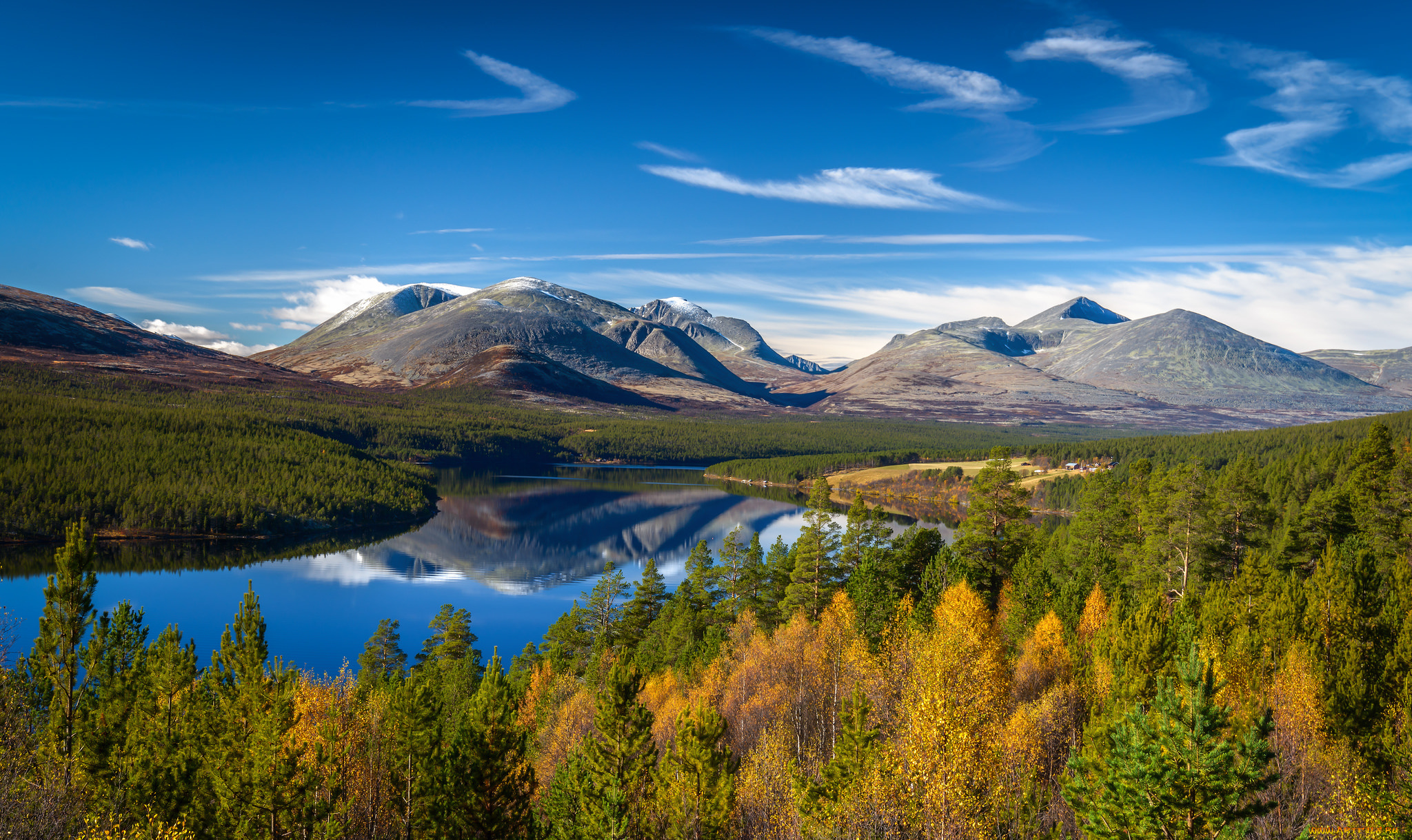 природа, реки, озера, лес, река