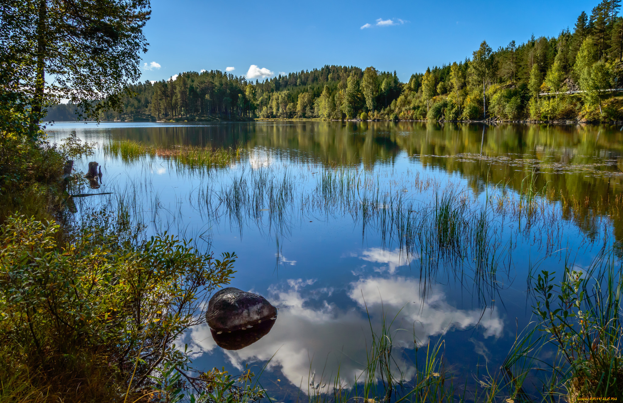 природа, реки, озера, река, лес