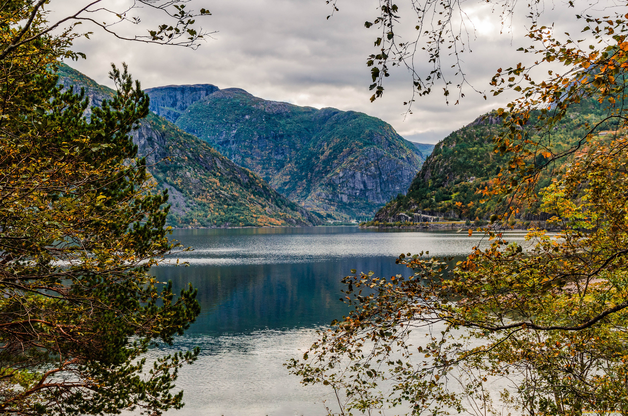 природа, реки, озера, лес, река