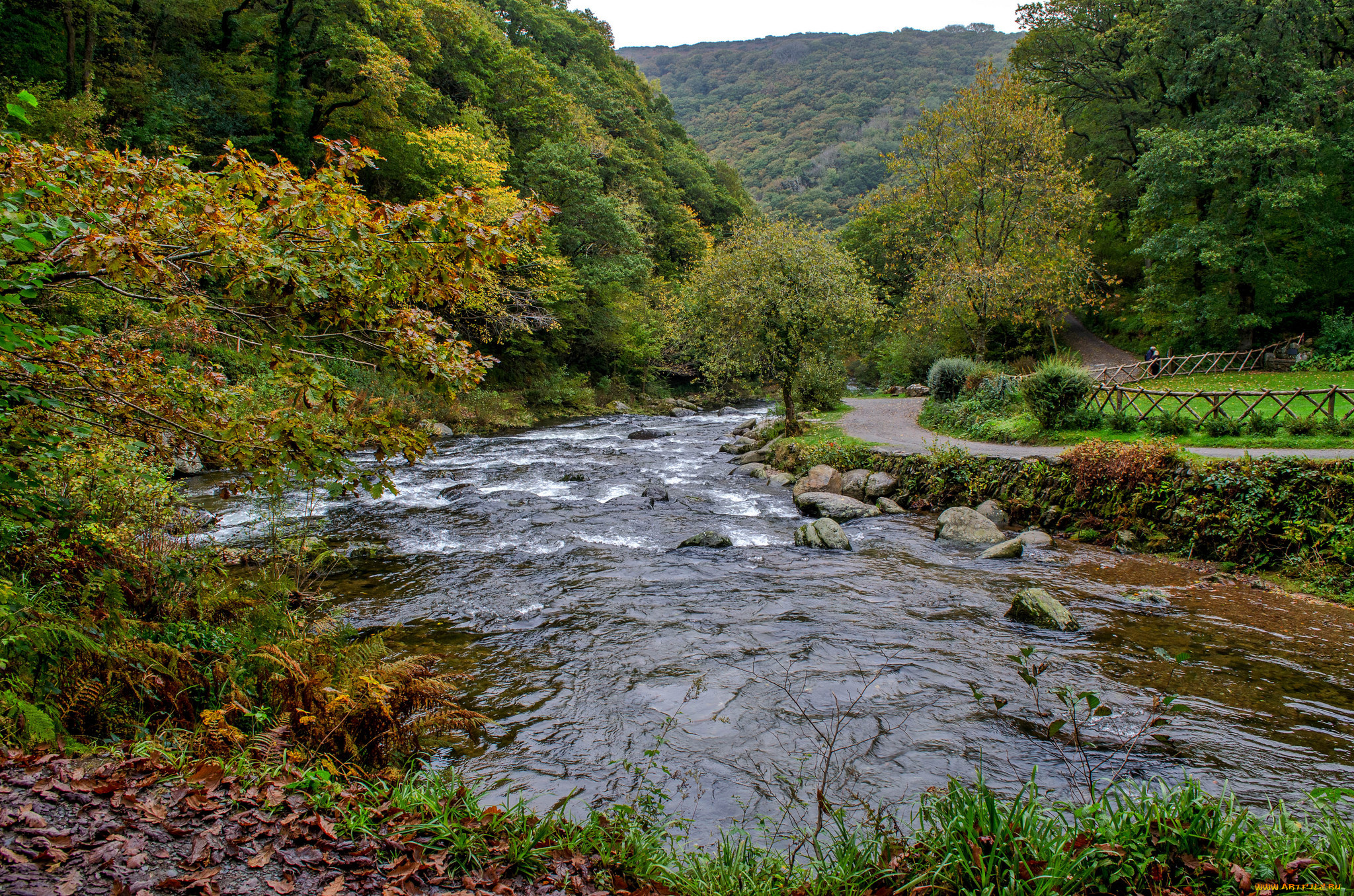 природа, реки, озера, река, лес