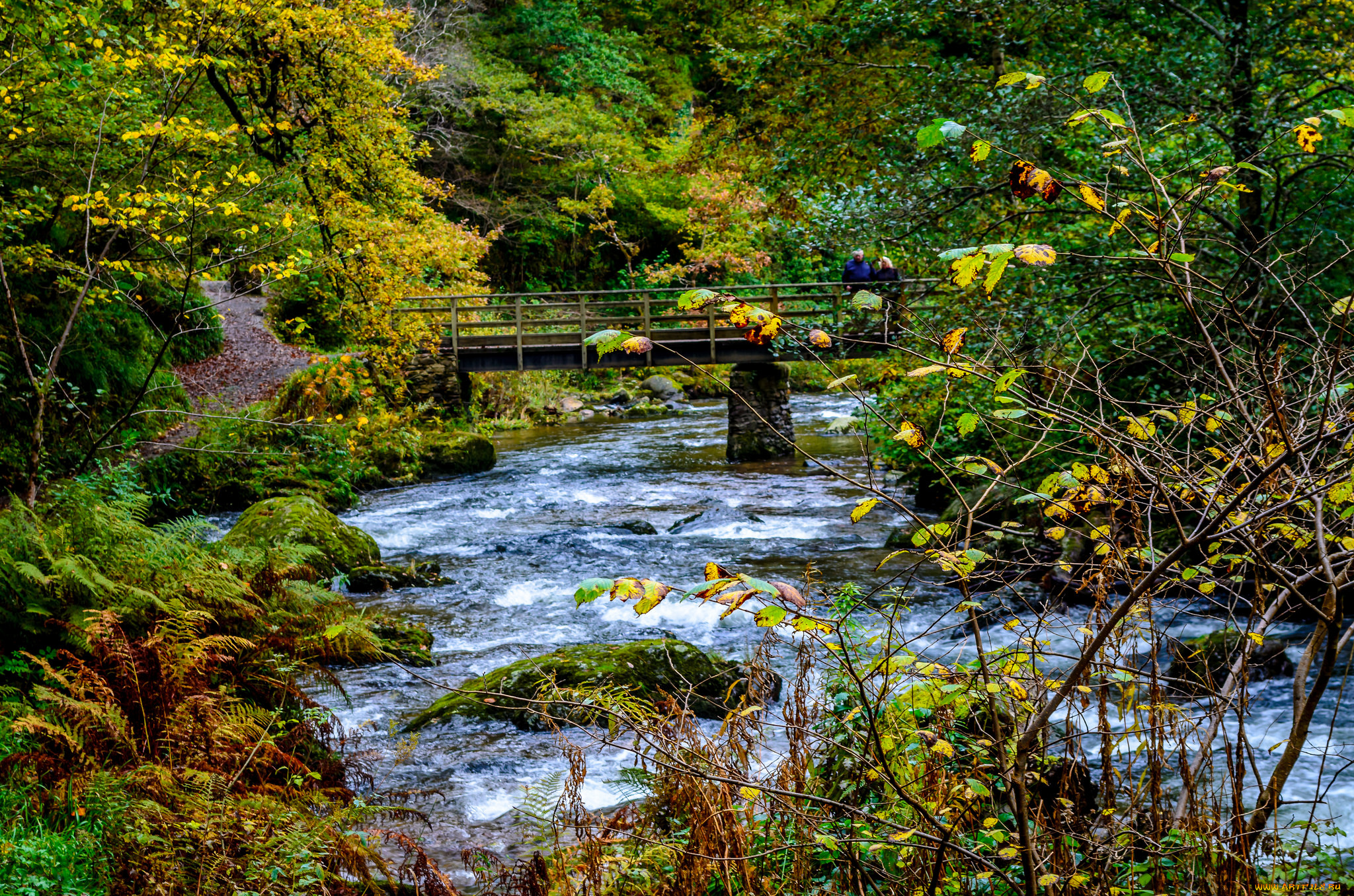 природа, реки, озера, река, рекалес, лес