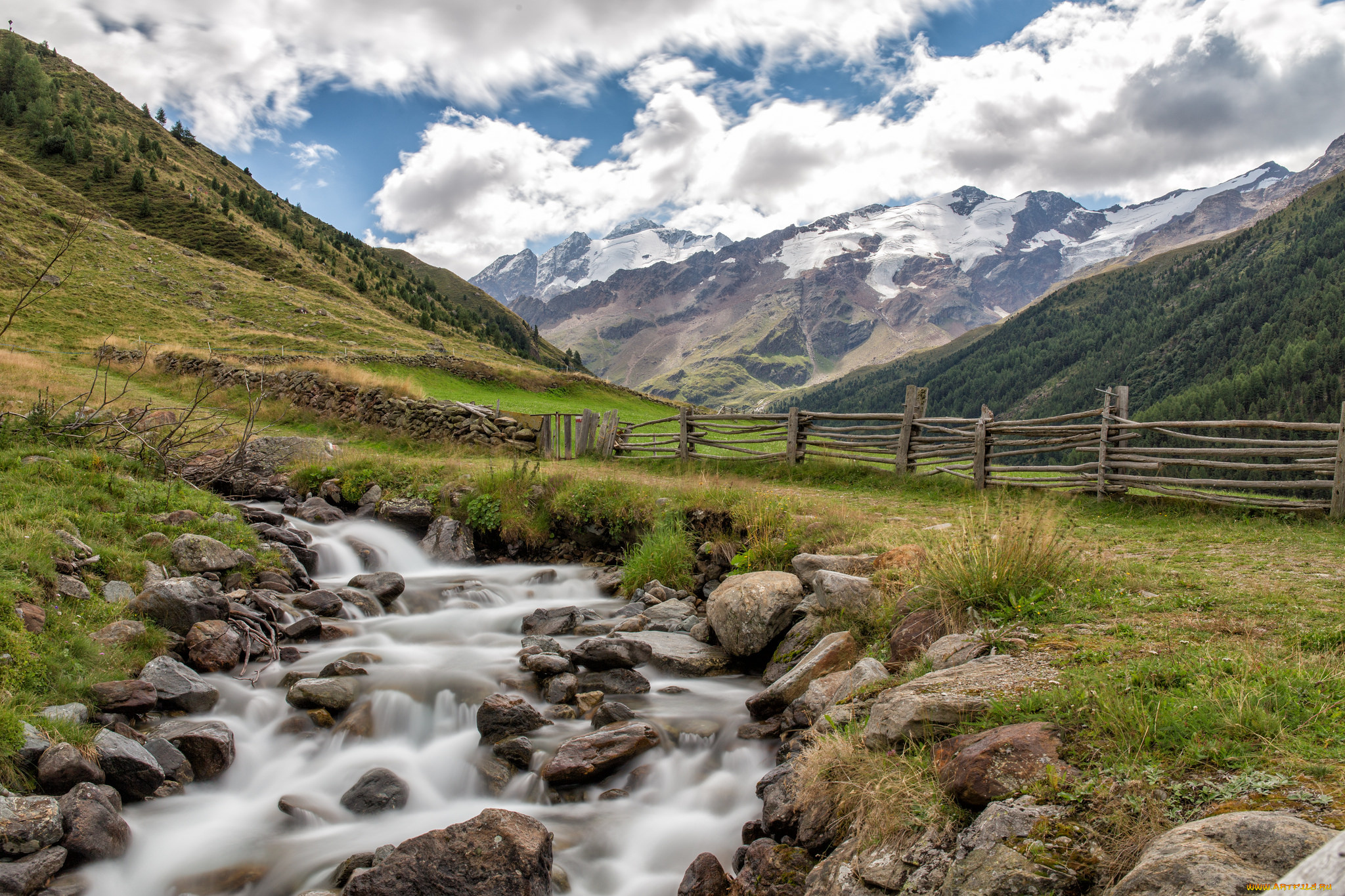 природа, реки, озера, лес, река