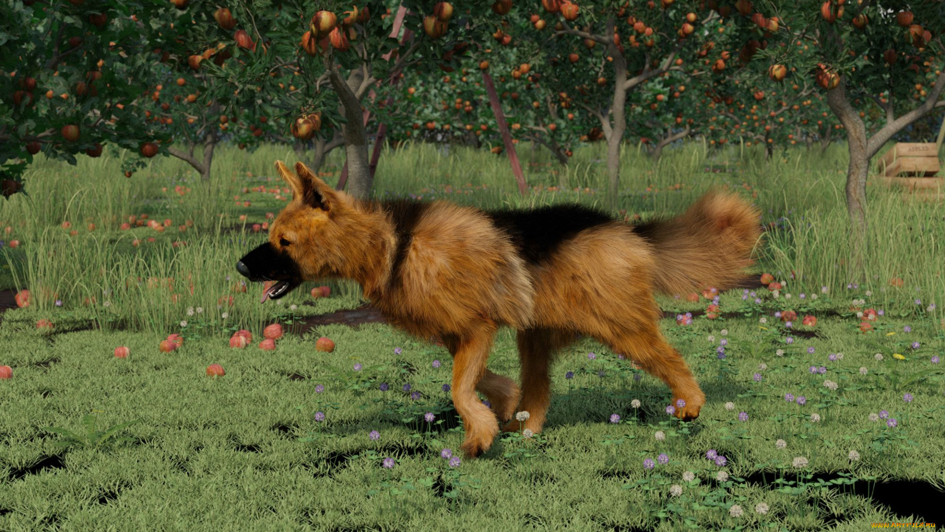 3д, графика, животные, , animals, друг, взгляд, собака