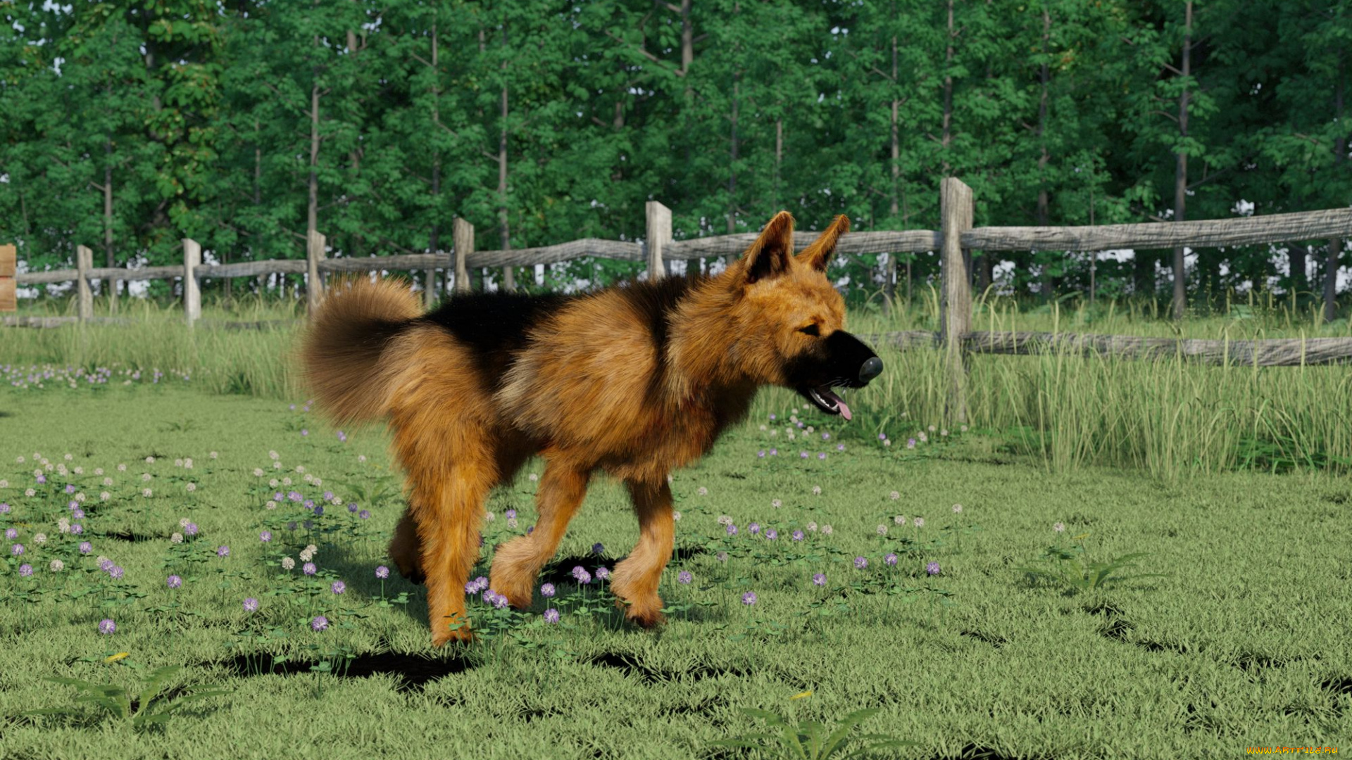 3д, графика, животные, , animals, собака, взгляд, друг