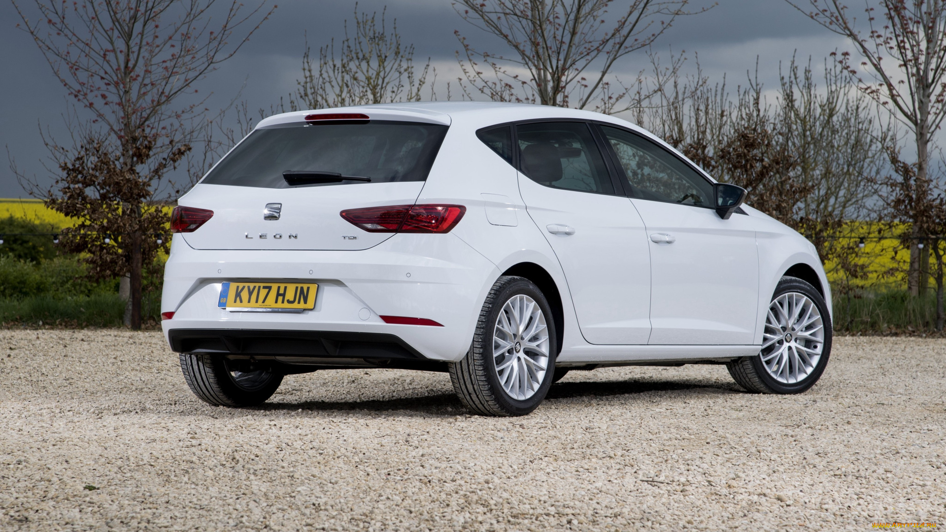 автомобили, seat