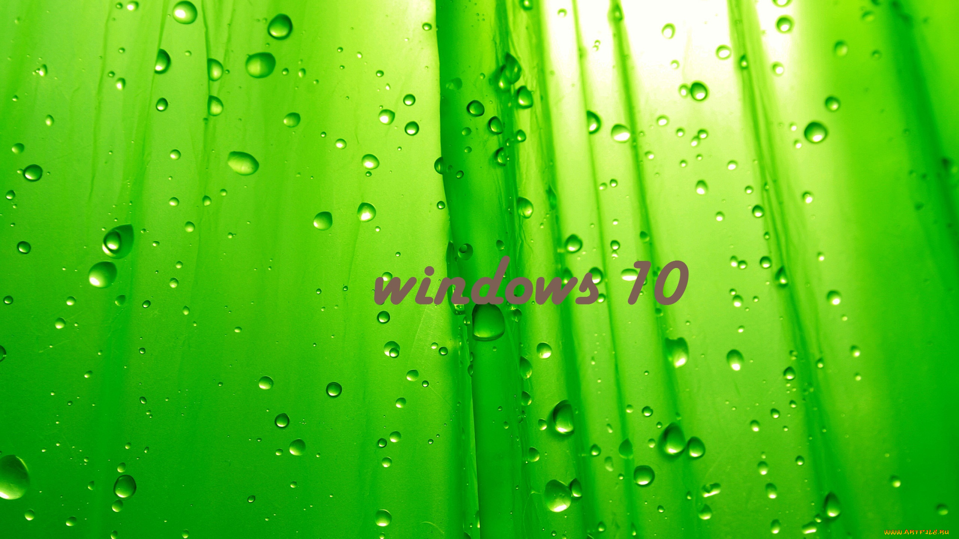 компьютеры, windows, , 10, логотип, фон