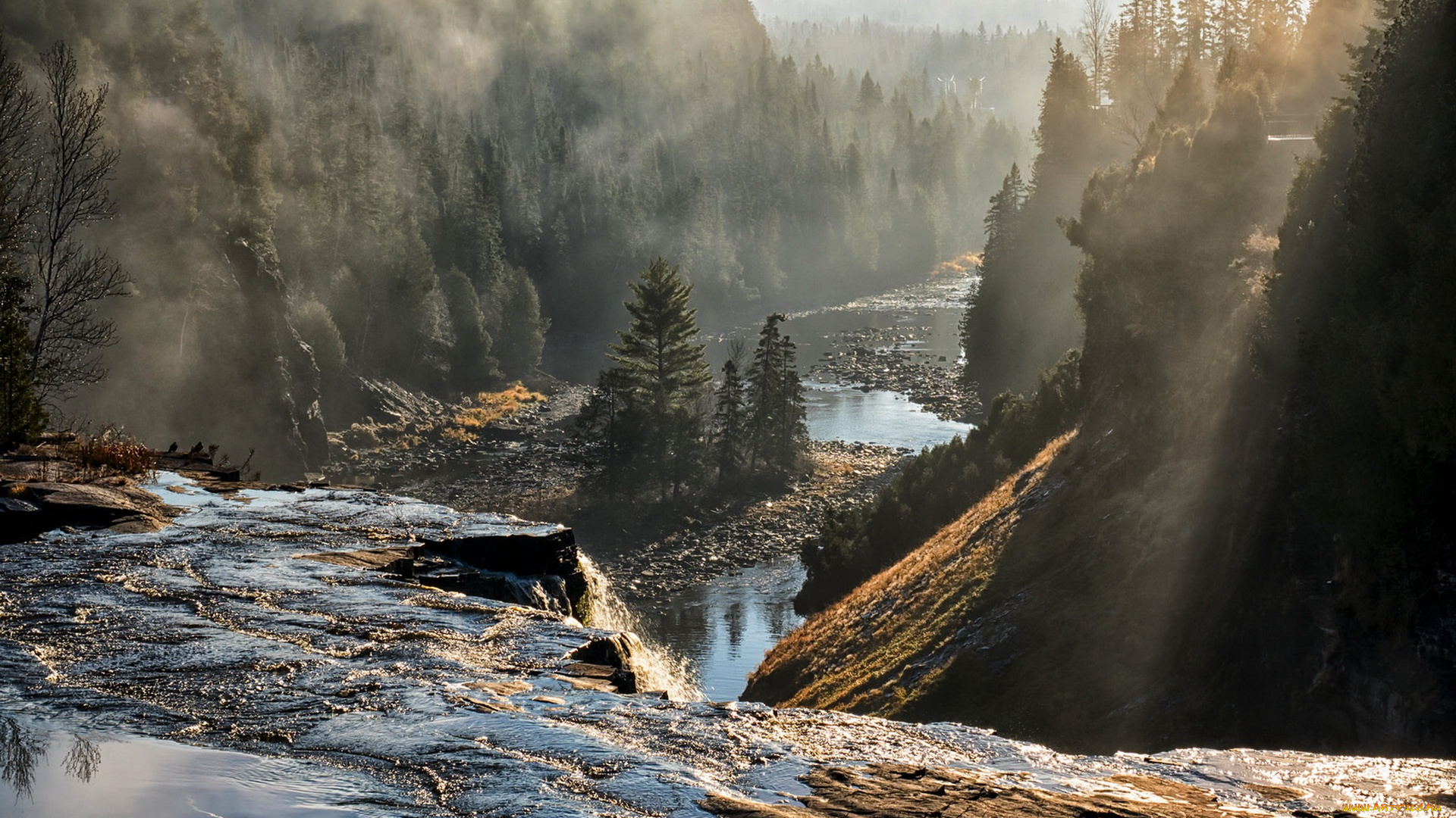 природа, реки, озера, oliver, paipoonge, canada, ontario, река, туман, утро