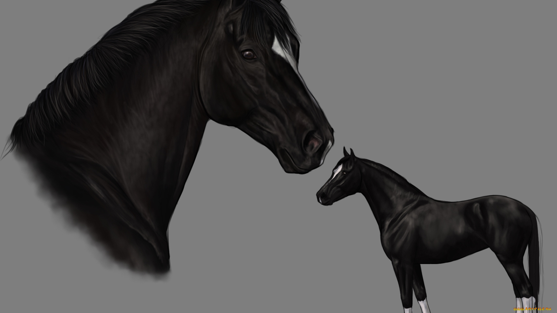 рисованное, животные, , лошади, лошадь, фон