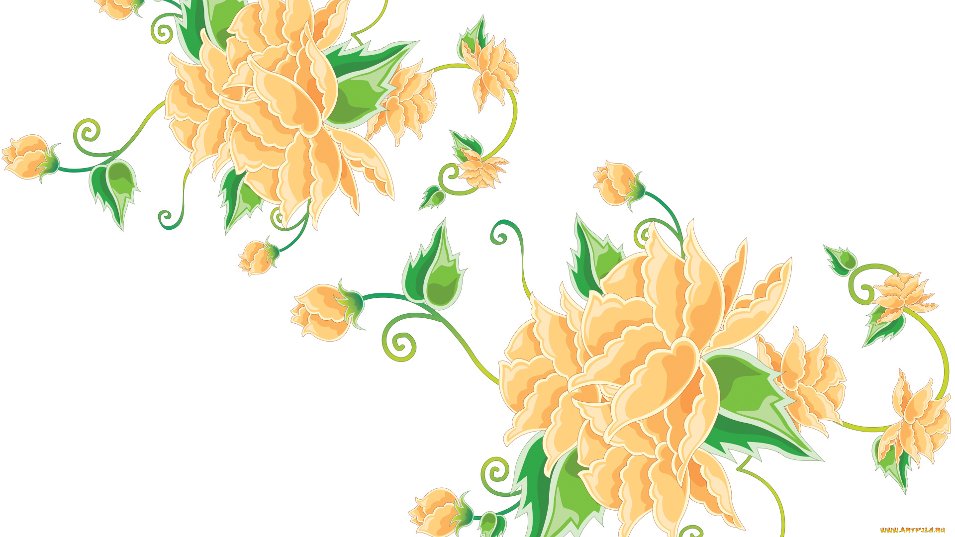 векторная, графика, цветы, , flowers, фон, цветы